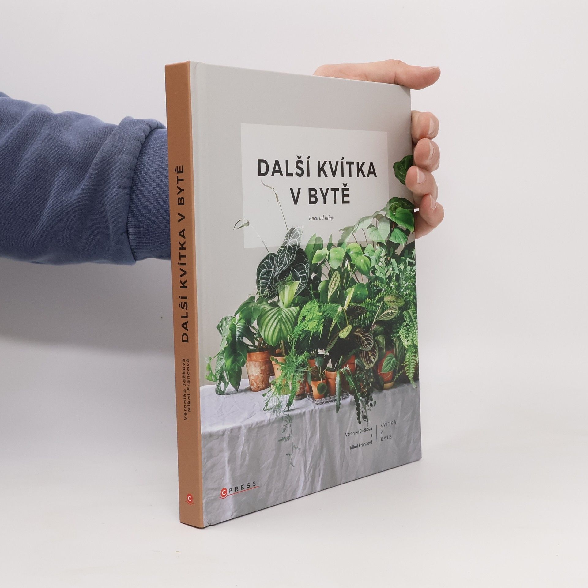 Nikol Francová Další kvítka v bytě : Ruce od hlíny