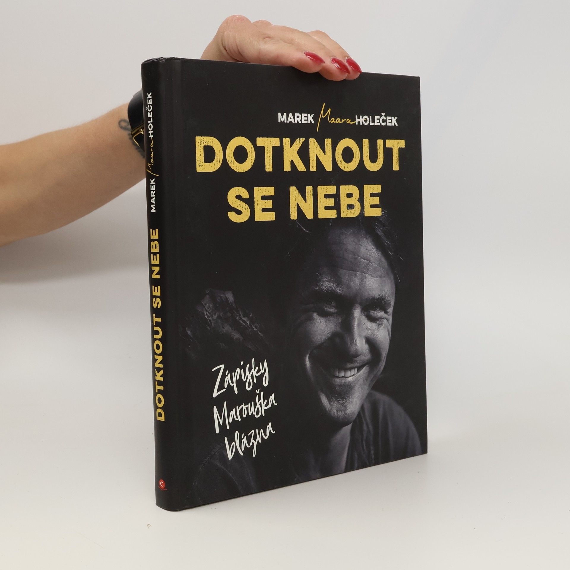 Marek Holeček Dotknout se nebe : zápisky Marouška blázna