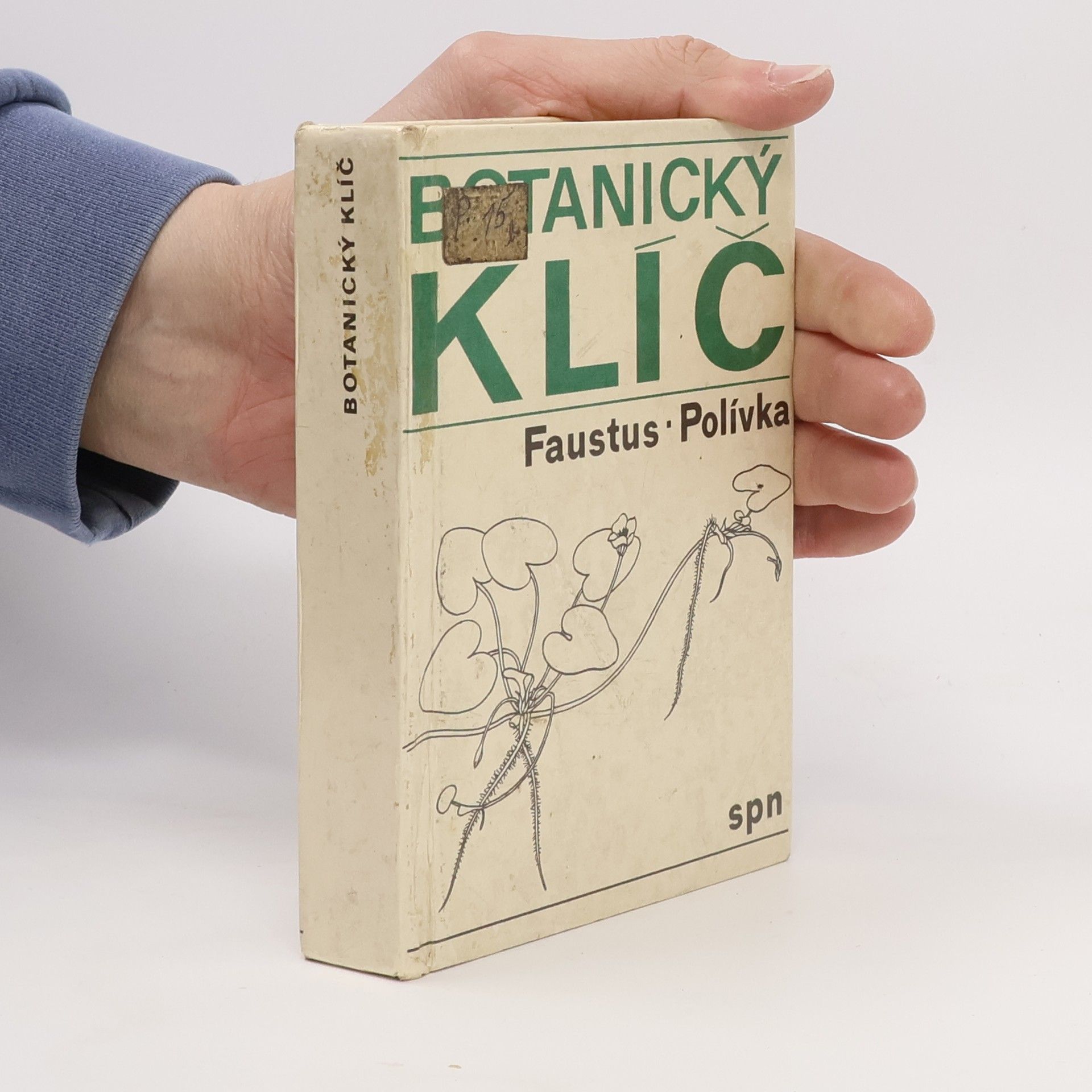 Luděk Faustus Botanický klíč