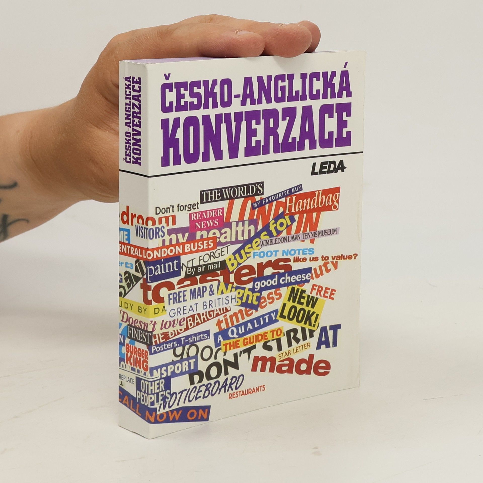 Ludmila Kollmannova Česko-anglická konverzace