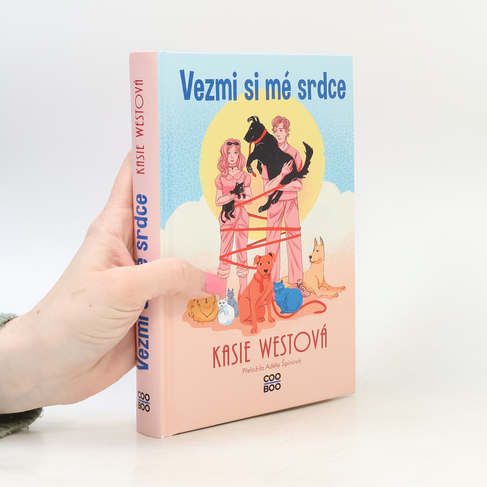 Kasie West Vezmi si mé srdce