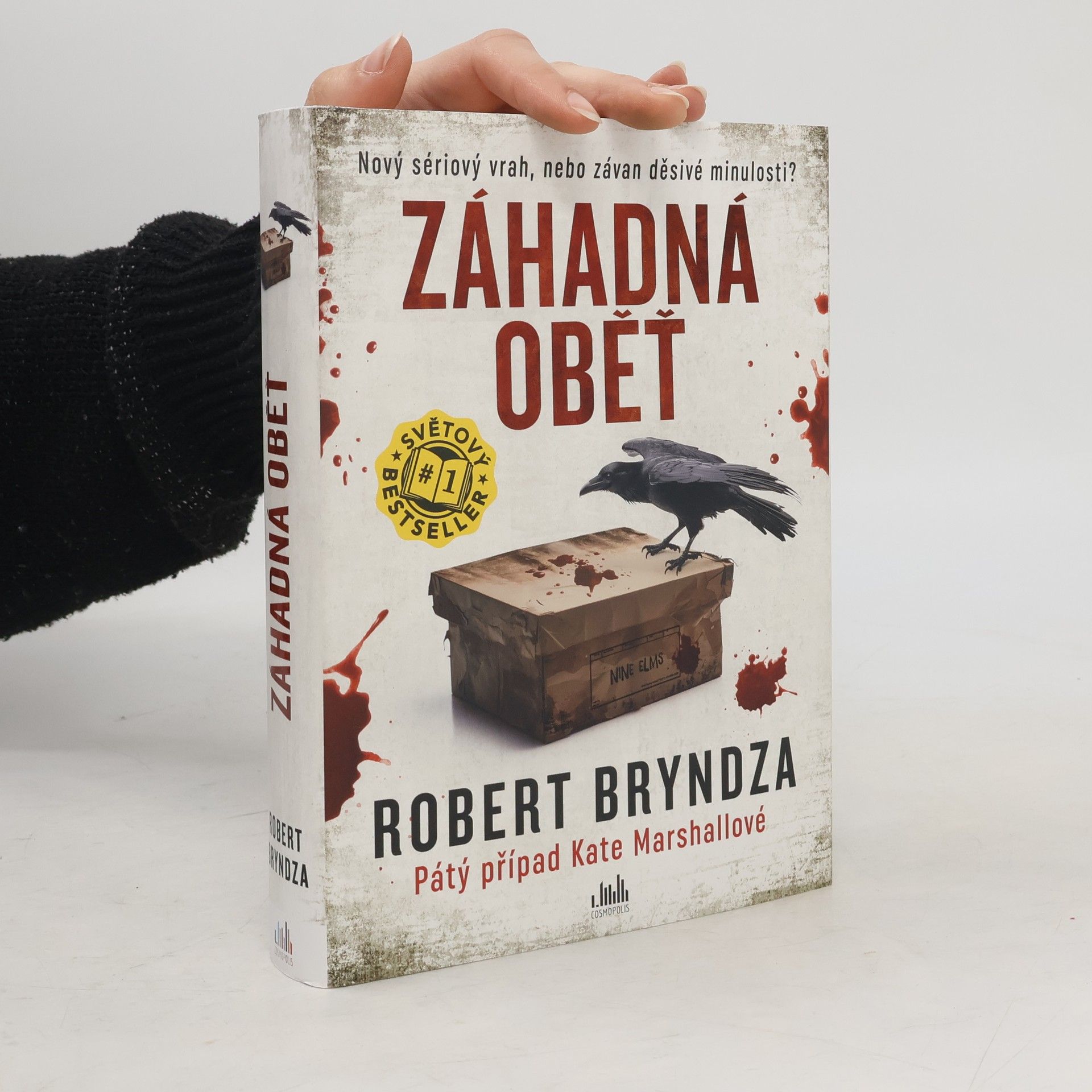 Robert Bryndza Záhadná oběť
