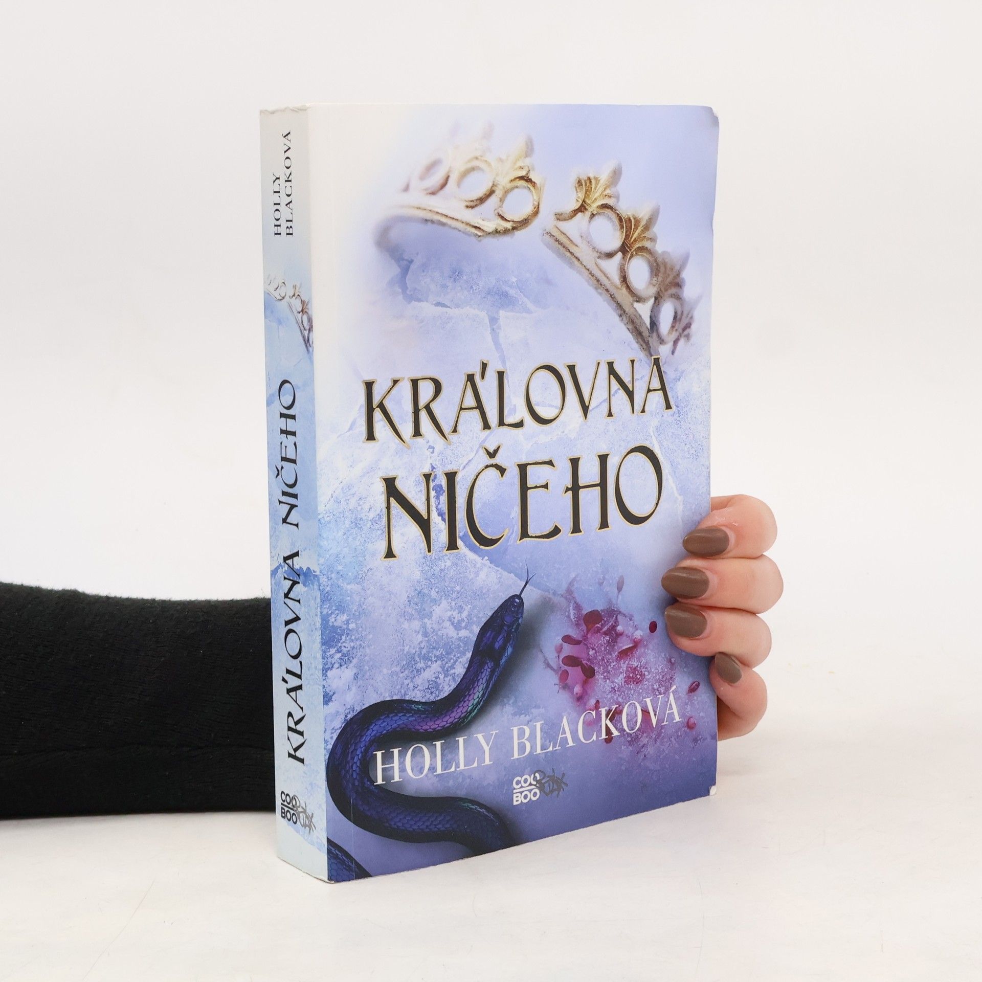 Holly Black Královna ničeho