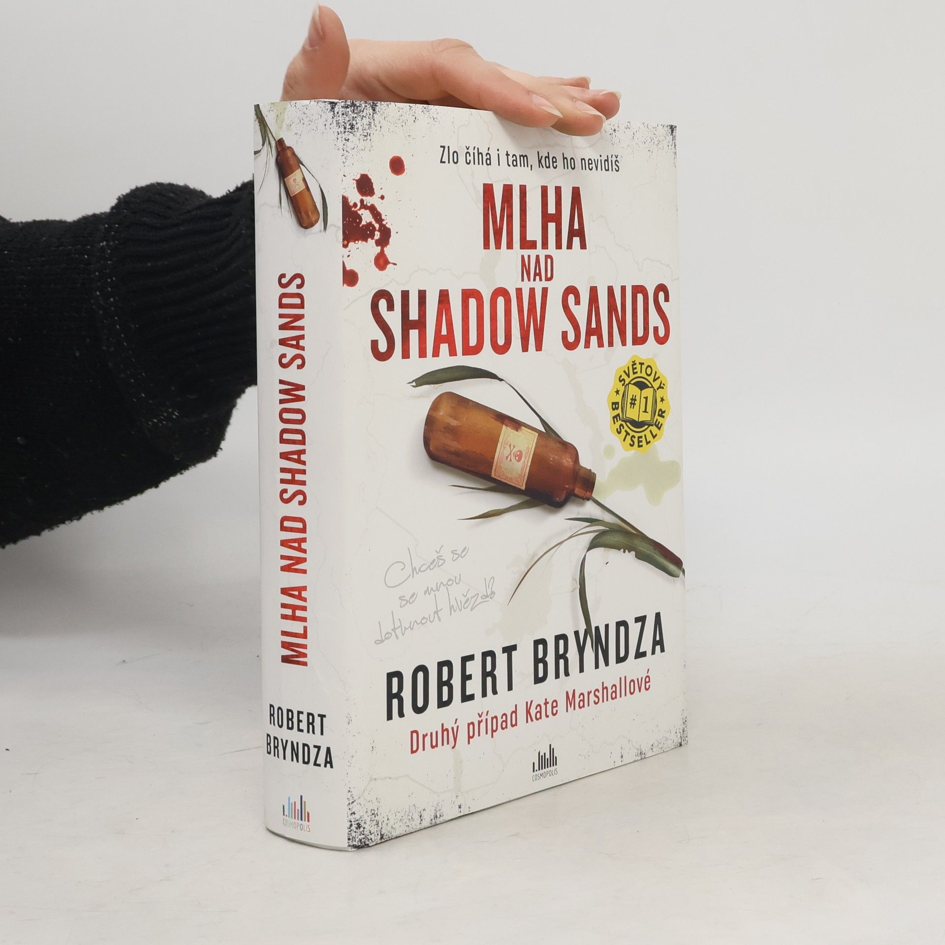 Robert Bryndza Mlha nad Shadow Sands