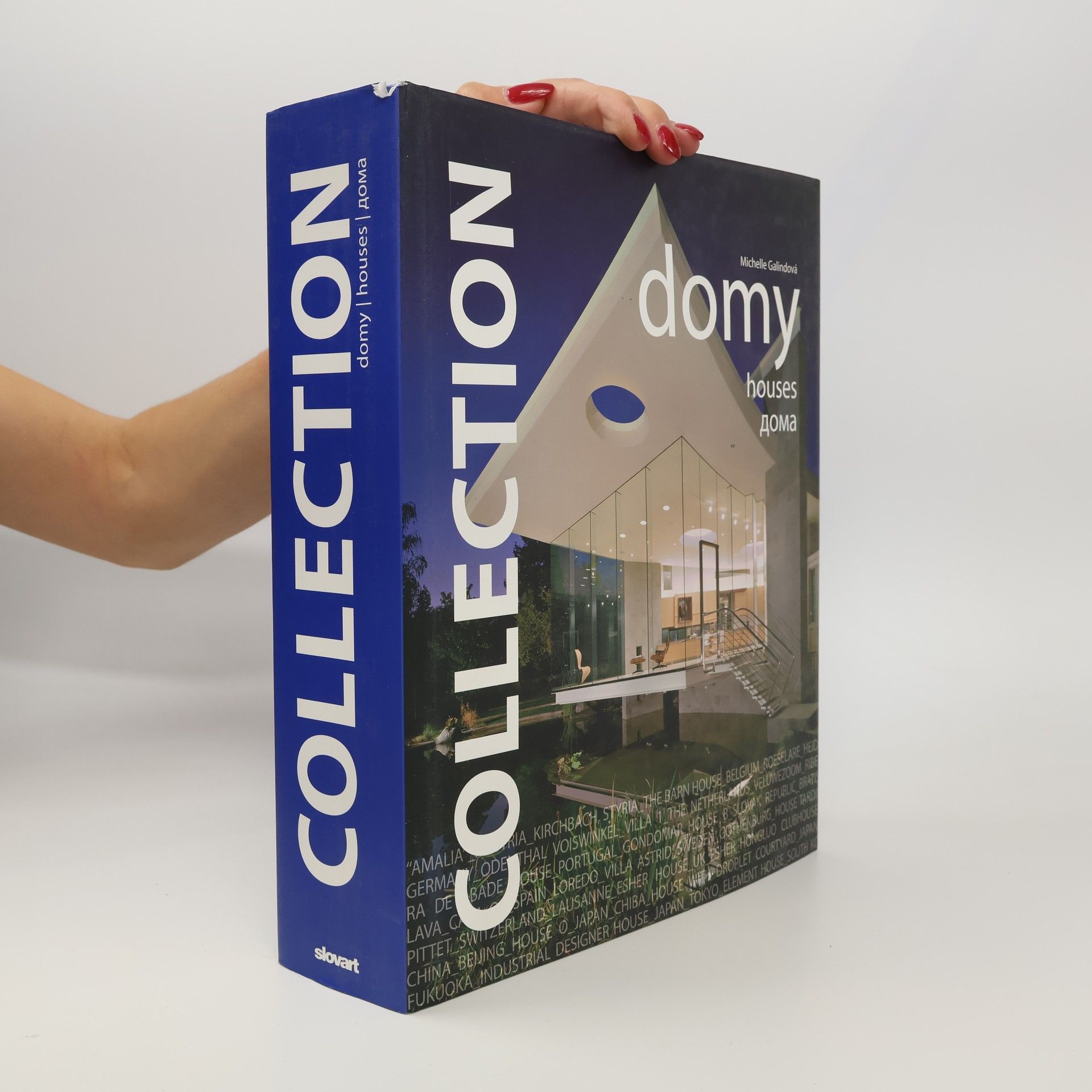 Michelle Galindo Collection. Domy