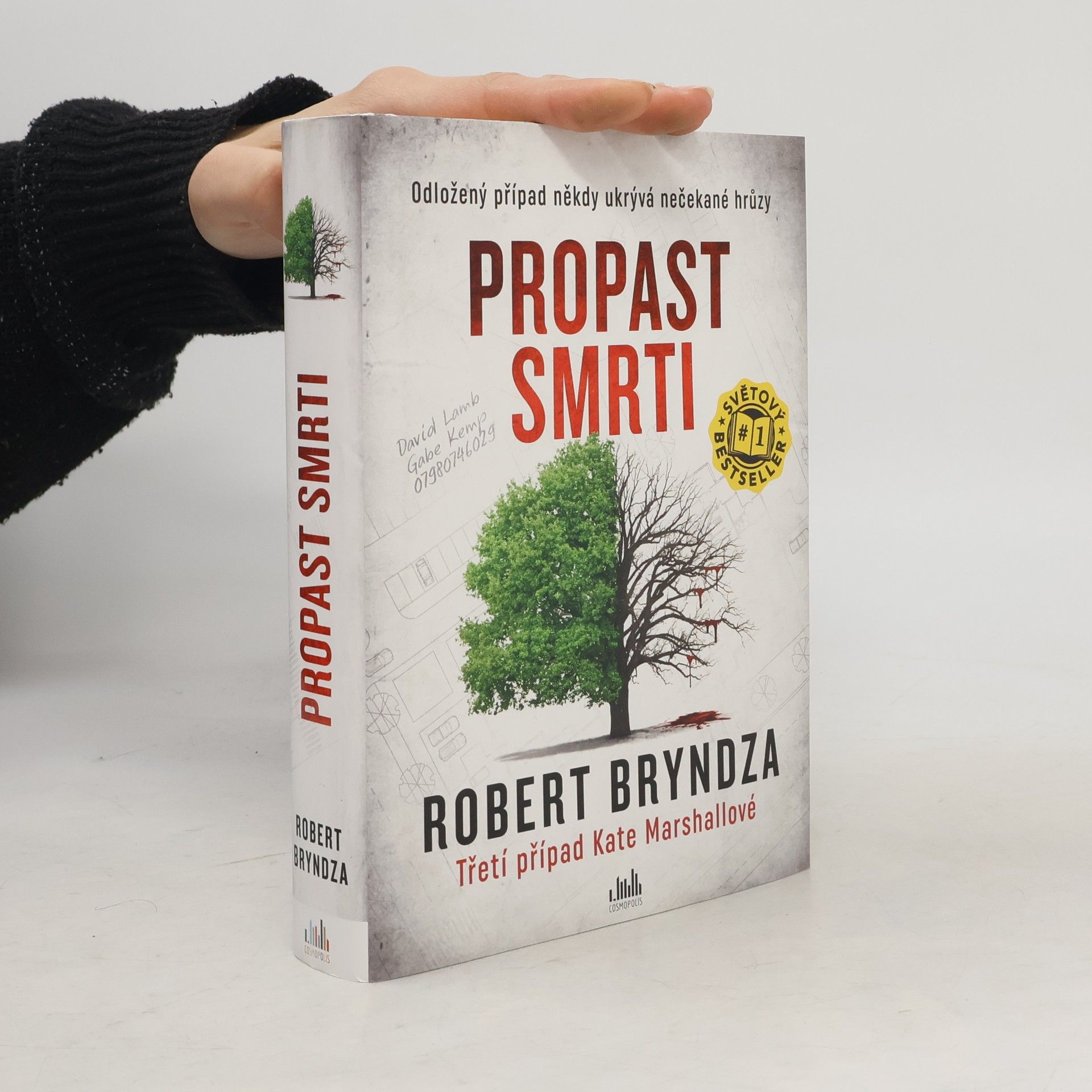 Robert Bryndza Propast smrti