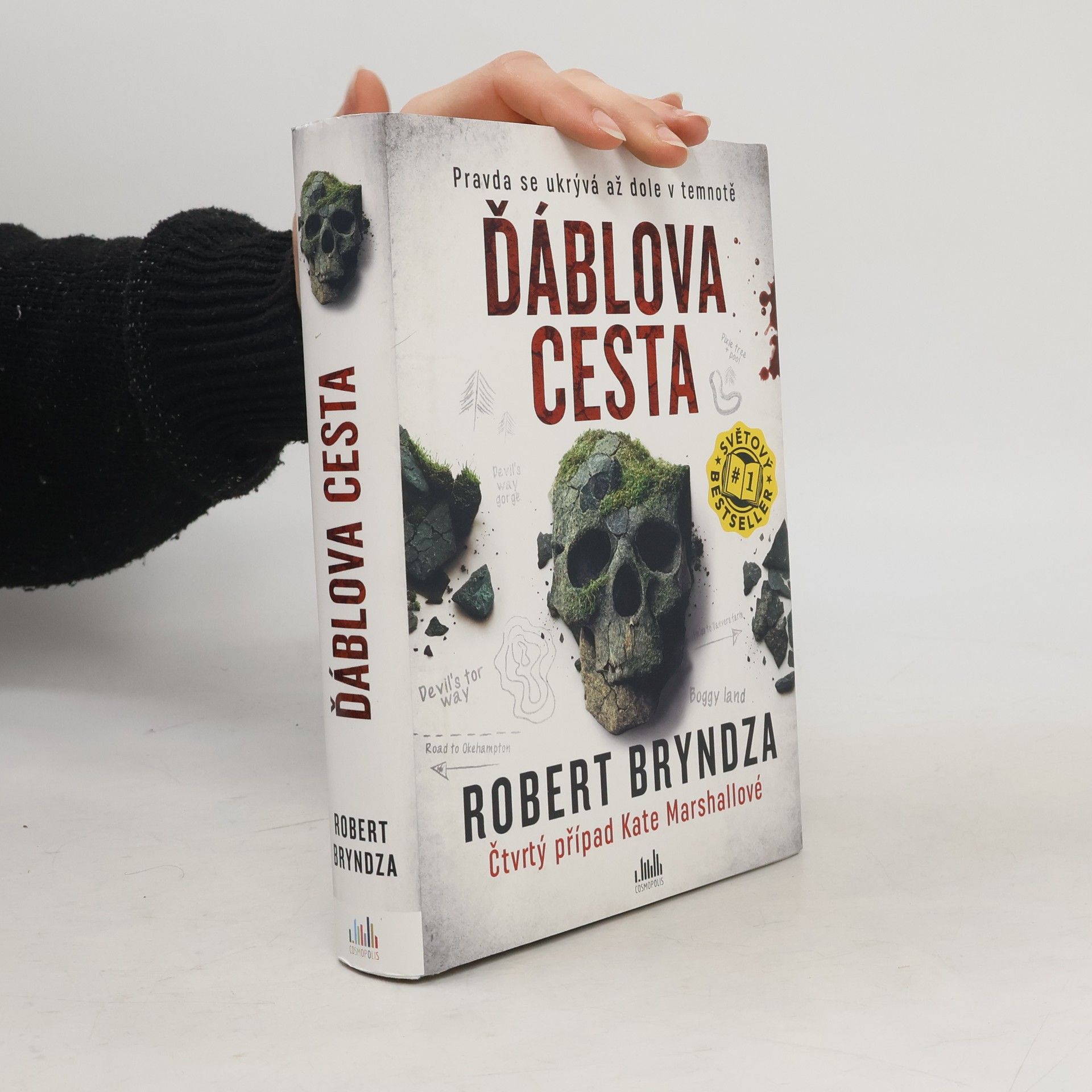 Robert Bryndza Ďáblova cesta