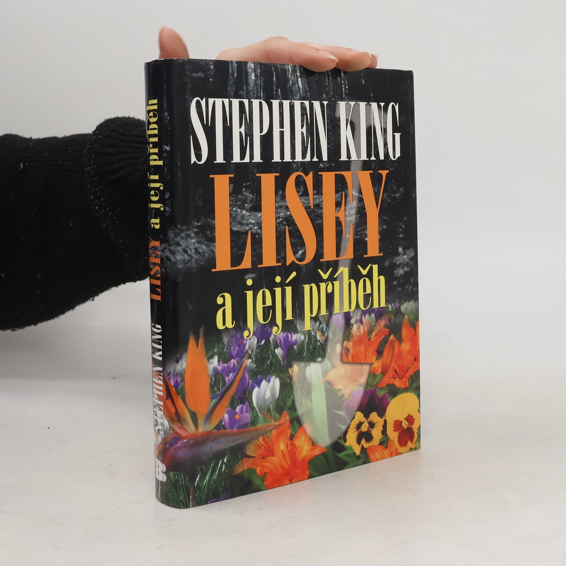 Stephen King Lisey a její příběh