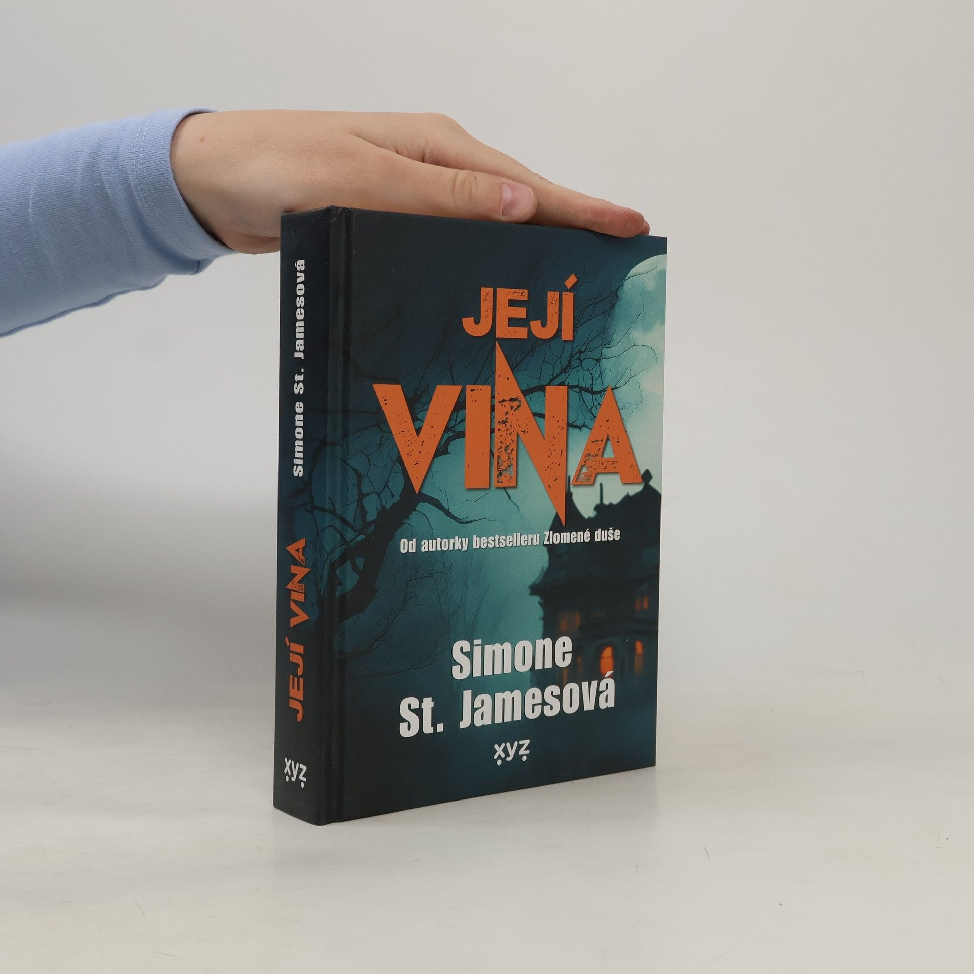 Simone St. James Její vina
