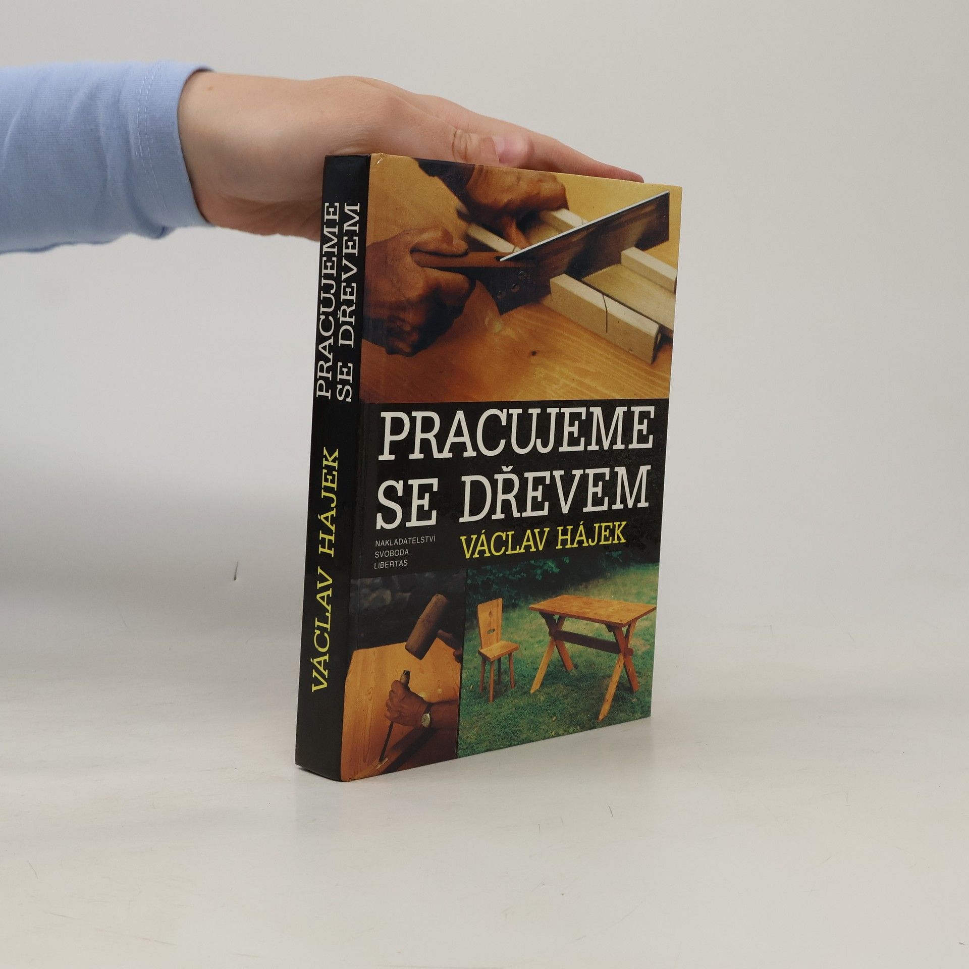 Václav Hájek Pracujeme se dřevem