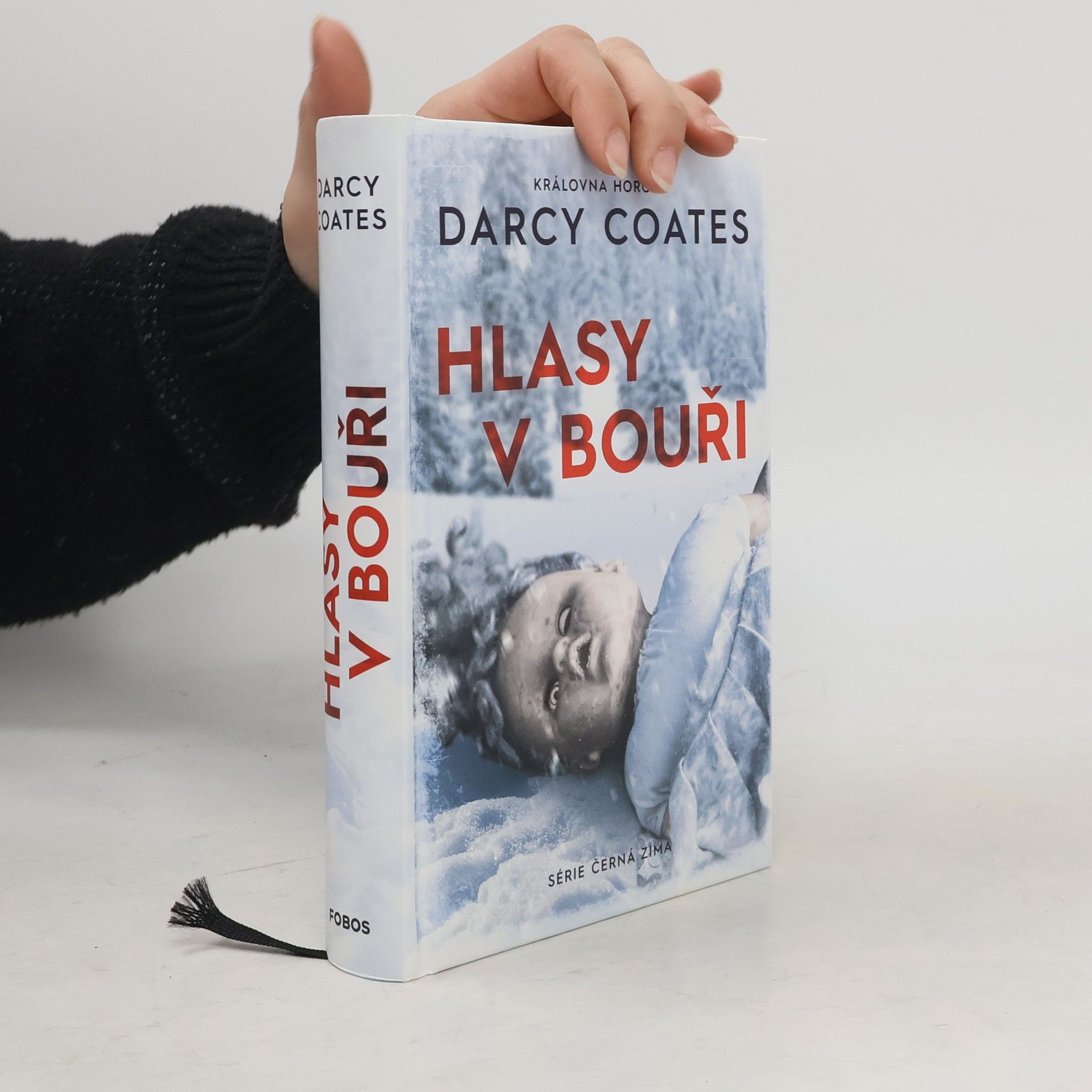 Darcy Coates Hlasy v bouři