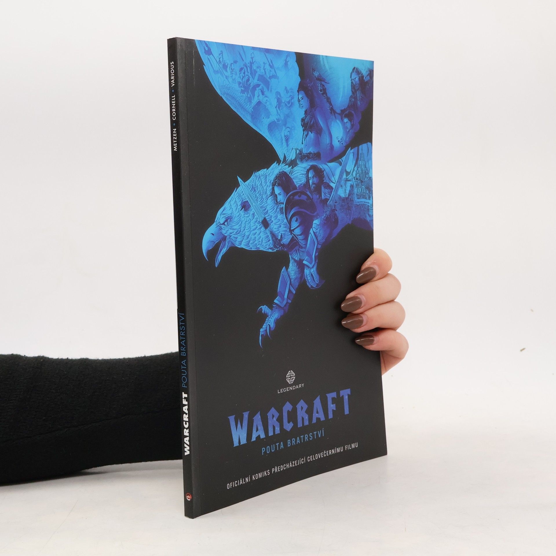 Kolektiv autorů Warcraft. Pouta bratrství