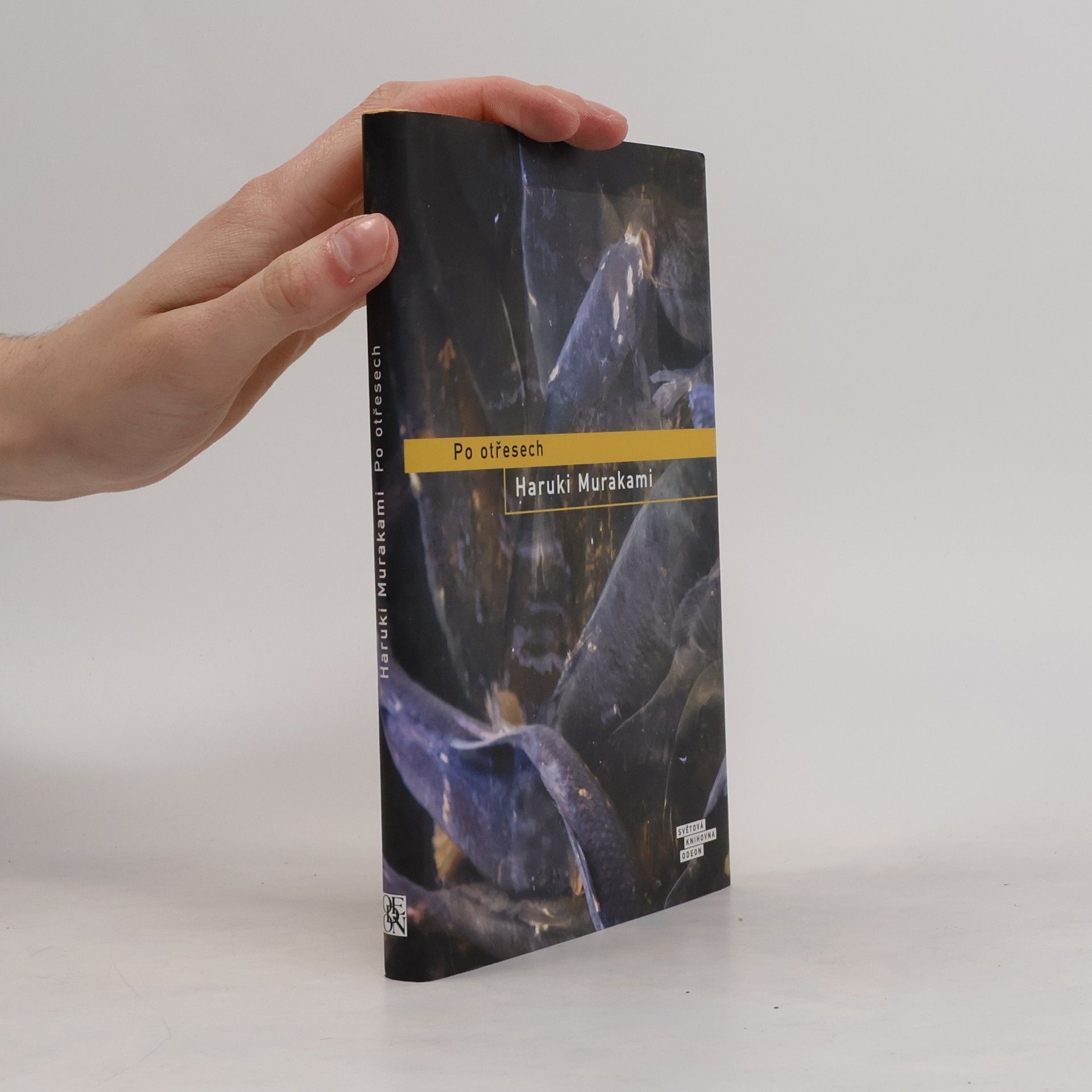 Haruki Murakami Po otřesech