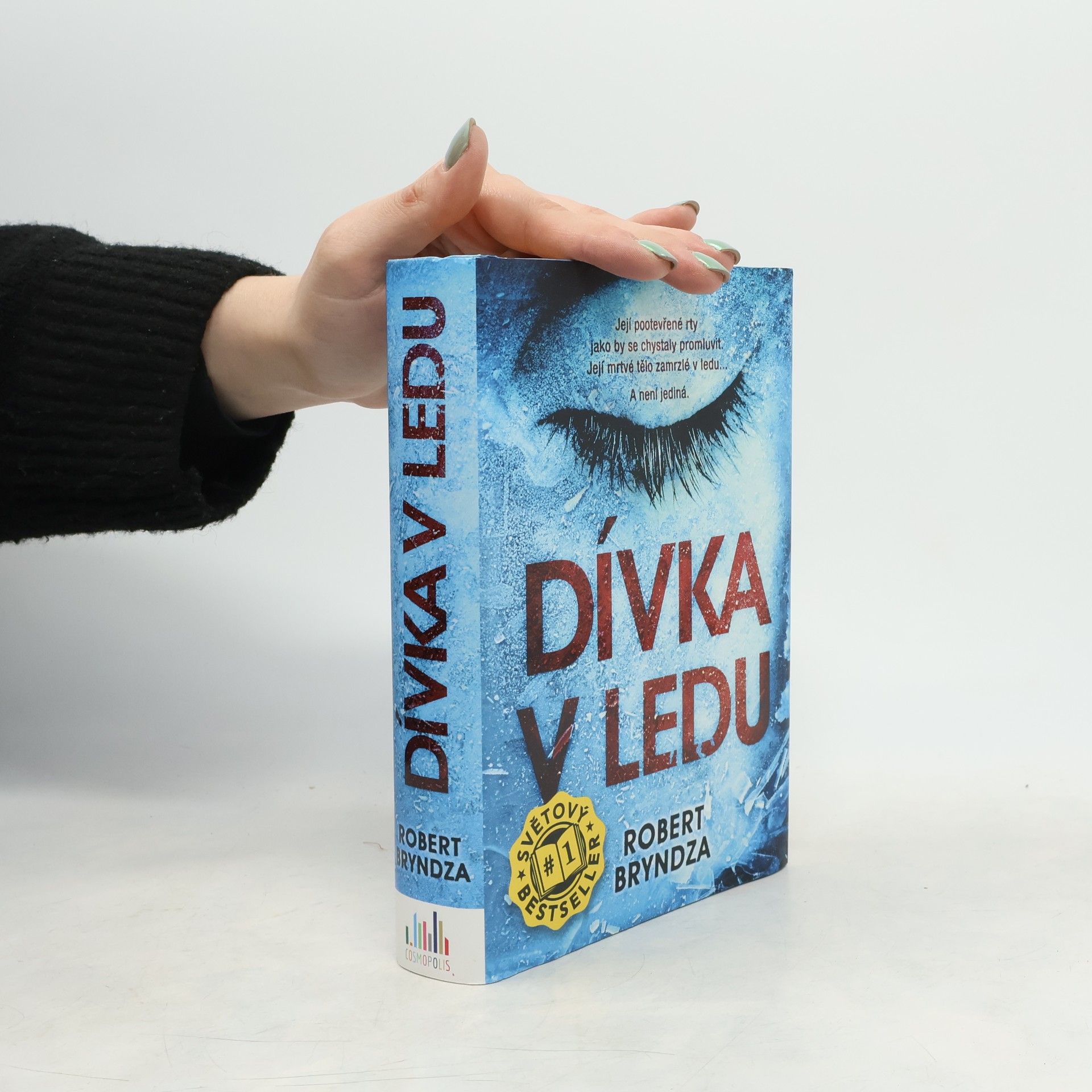 Robert Bryndza Dívka v ledu