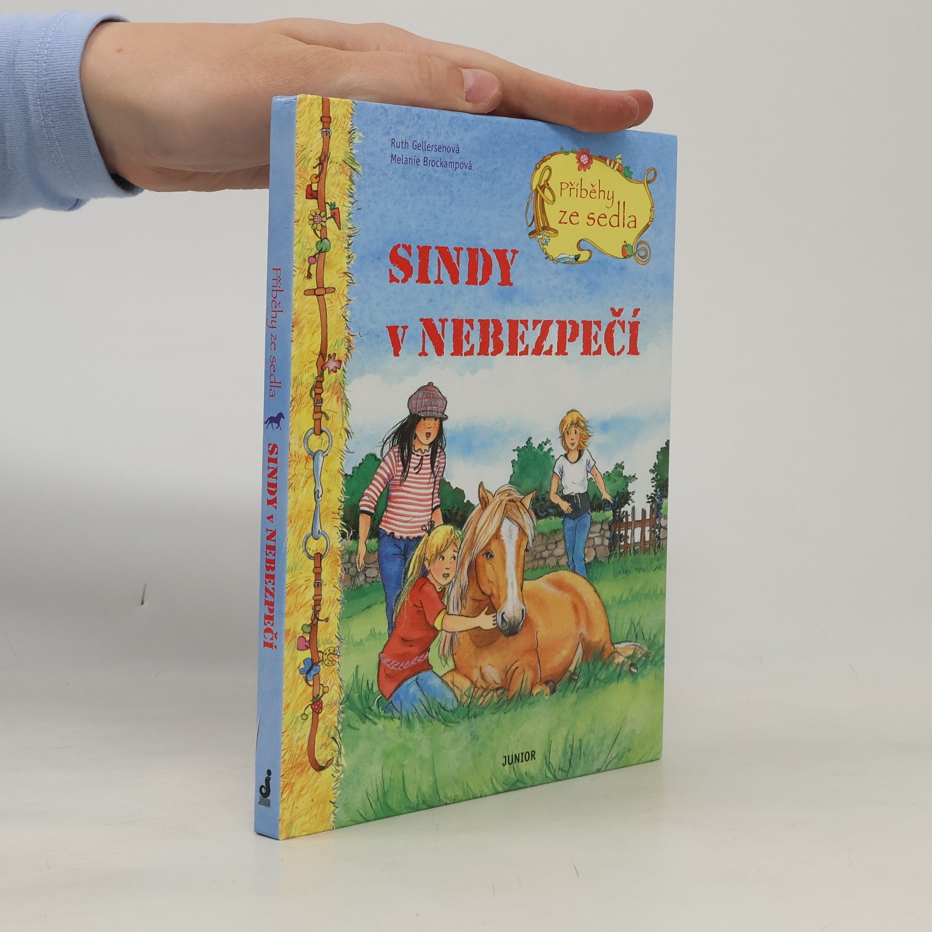 Sindy v nebezpečí