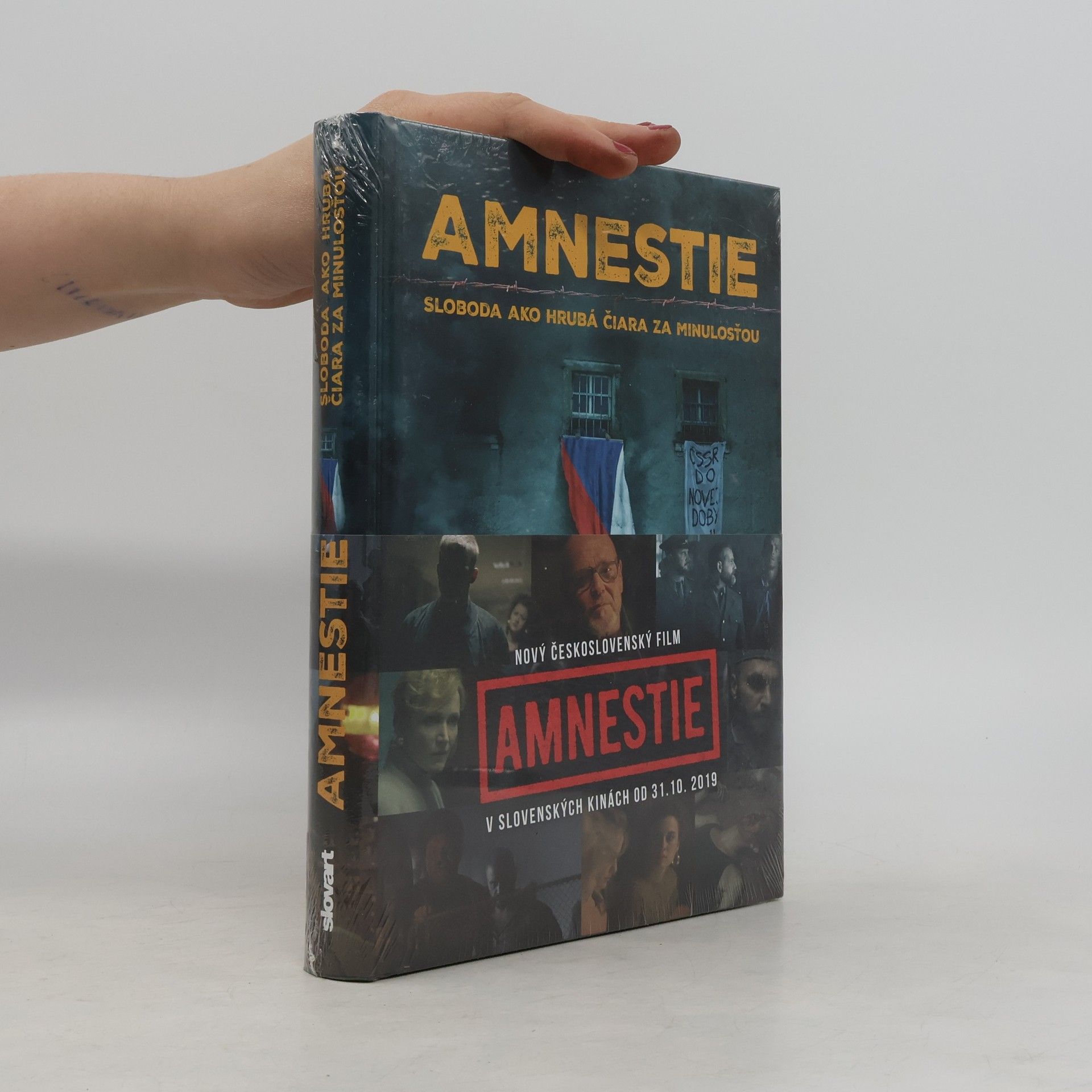 Kolektiv autorů Amnestie - Sloboda ako hrubá čiara za minulosťou