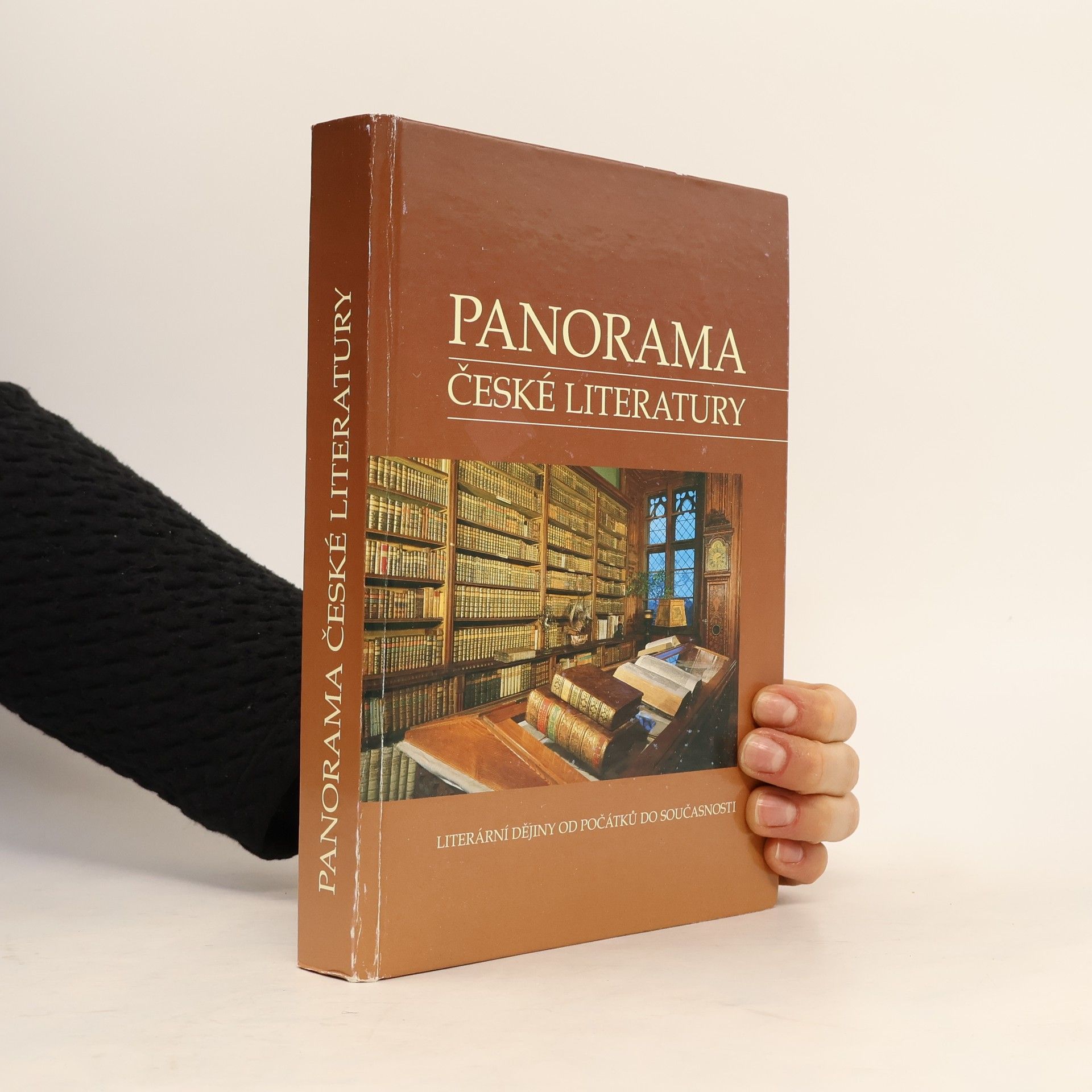 Josef Galík Panorama české literatury. Literární dějiny od počátků do současnosti