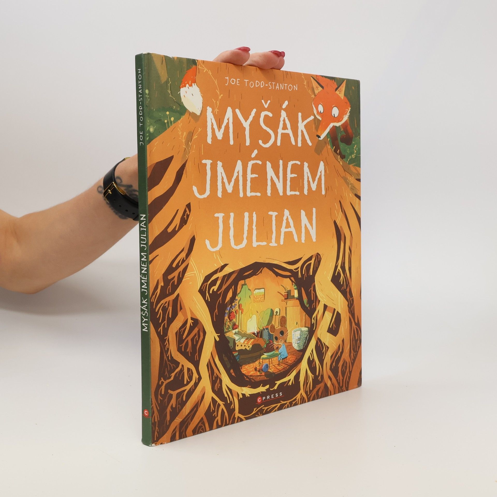 Joe Todd-Stanton Myšák jménem Julian