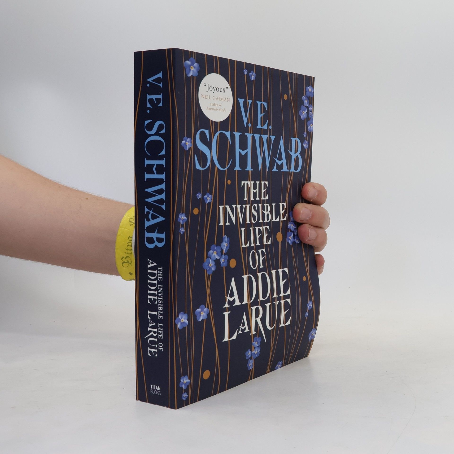 Victoria Schwabová The Invisible Life of Addie Larue