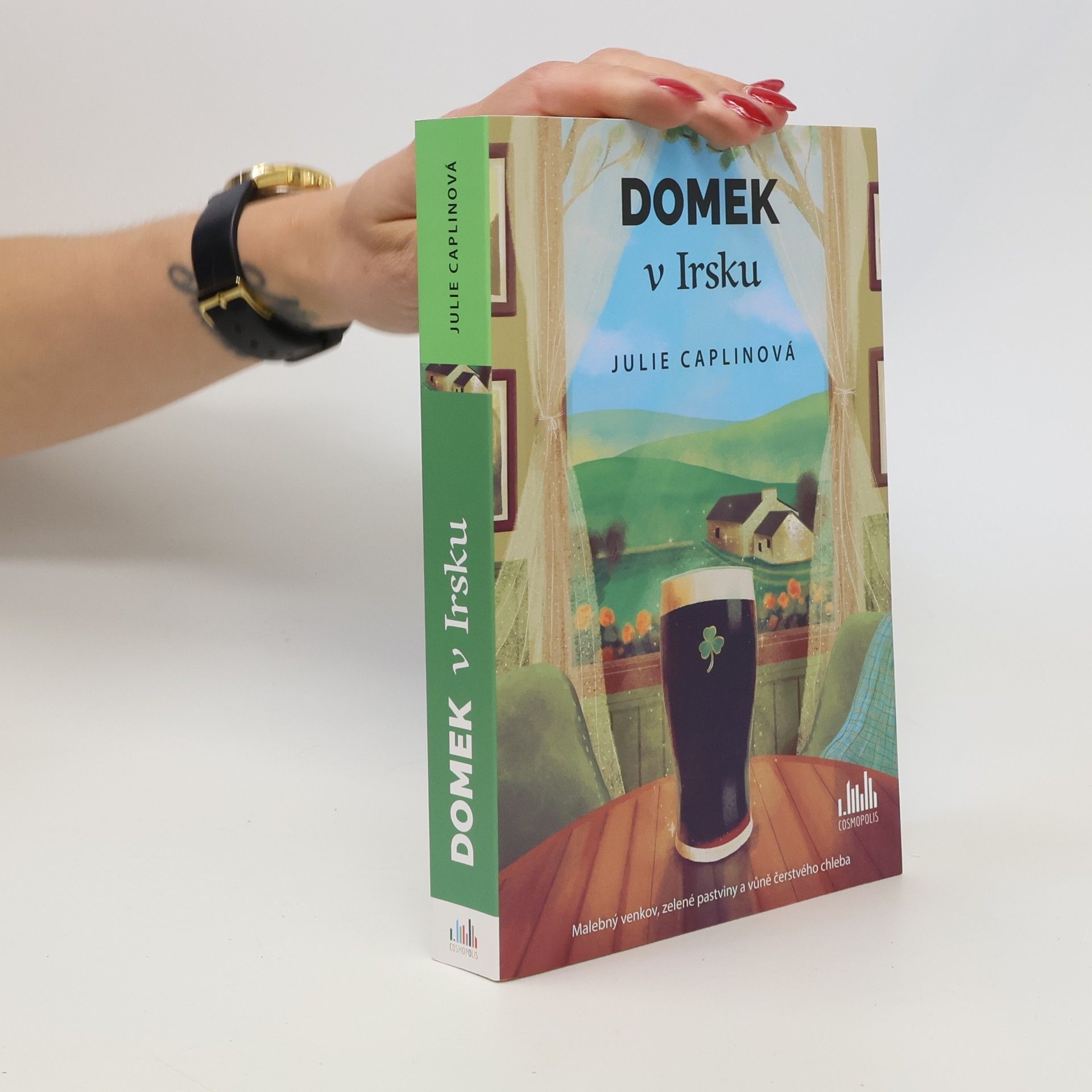 Julie Caplin Domek v Irsku
