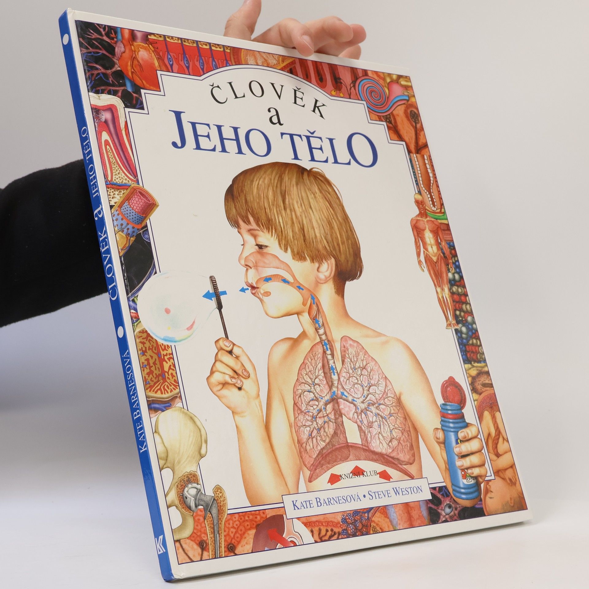 Steve Weston Člověk a jeho tělo