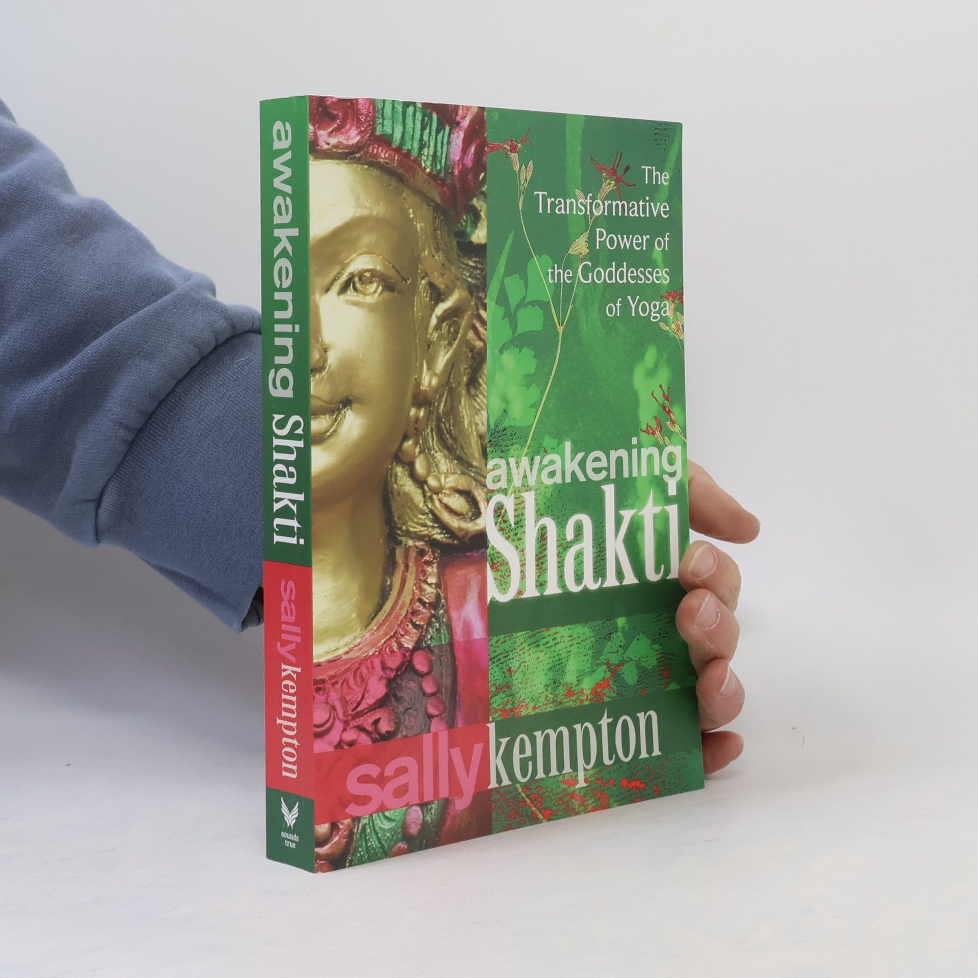 Sally Kempton Awakening Shakti