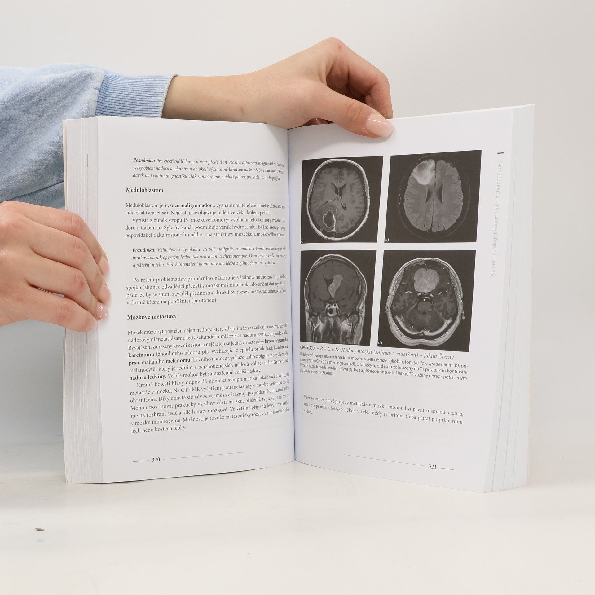 Miroslav Orel Neurologie pro humanitní obory