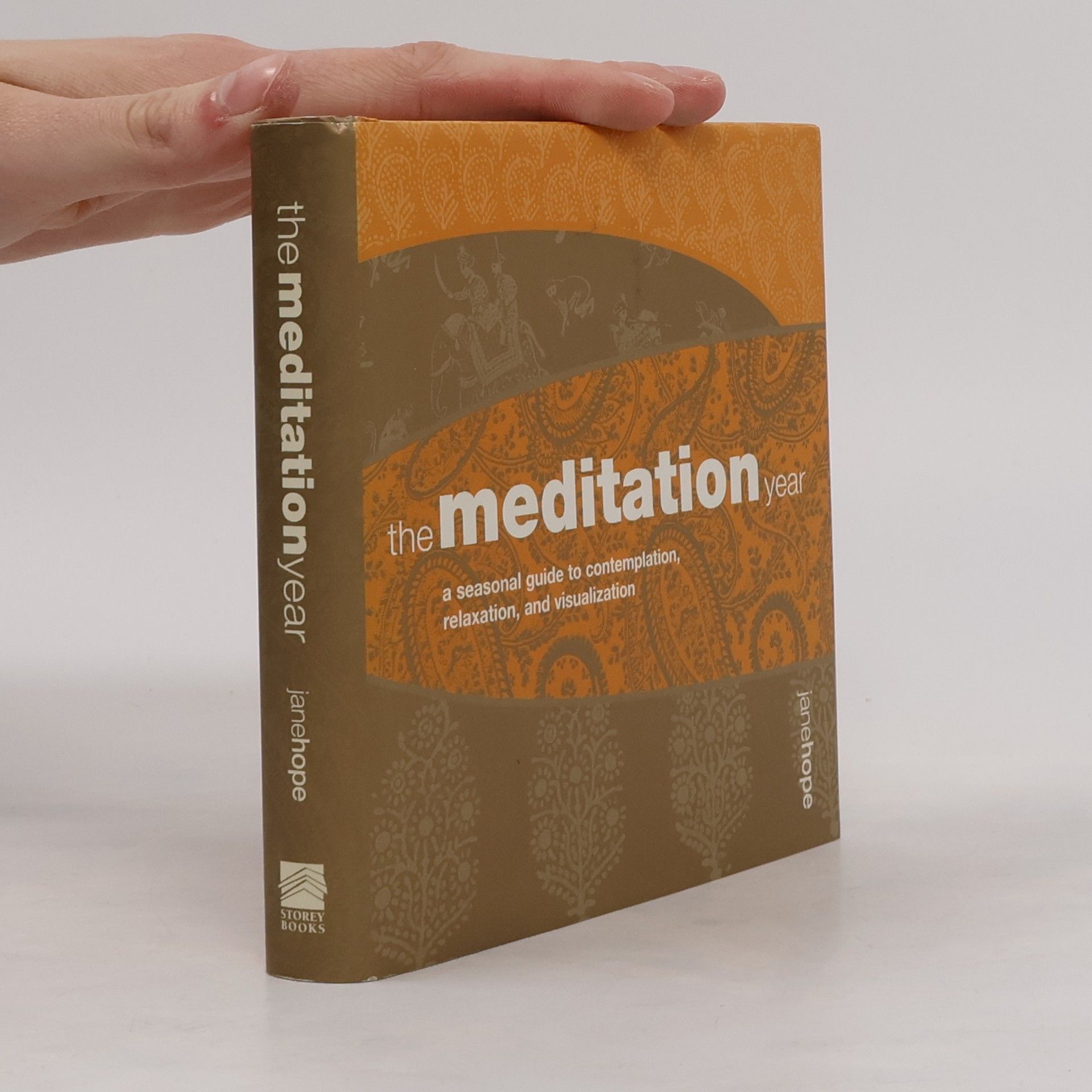 The Meditation Year