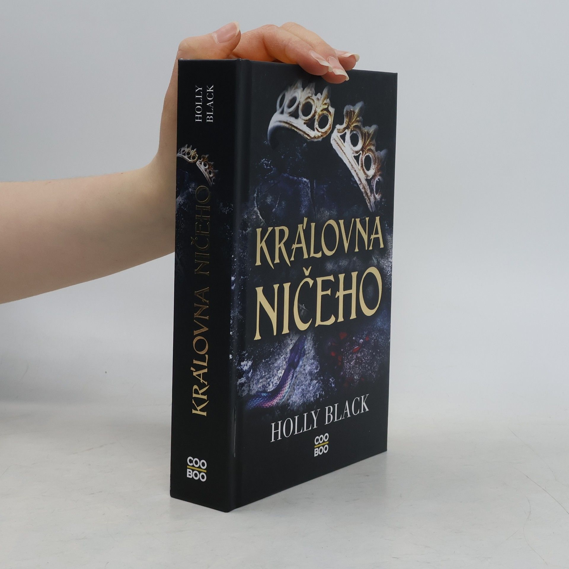 Holly Black Královna ničeho