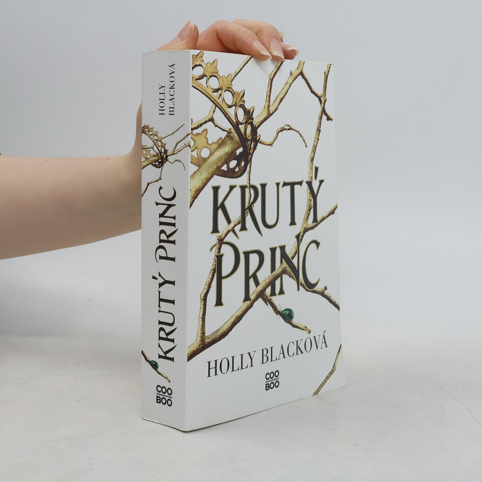 Holly Black Krutý princ