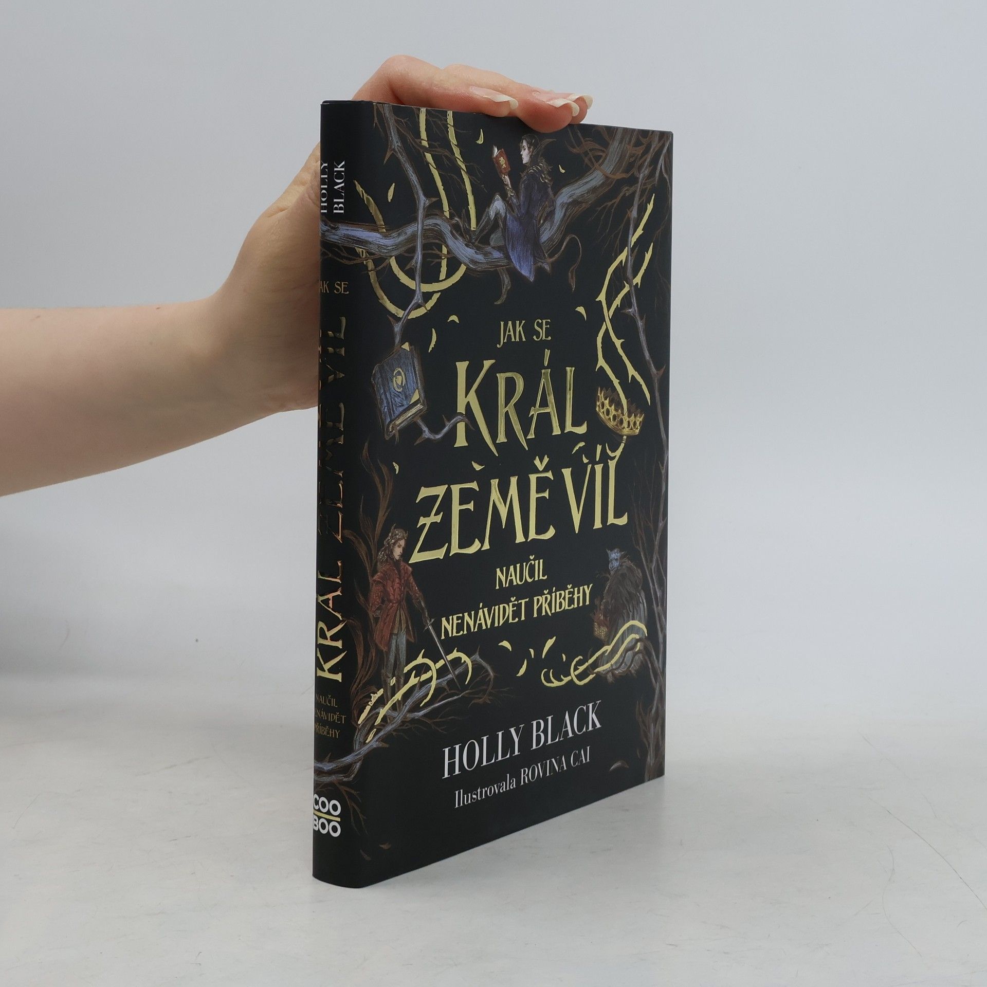 Jak se král Země víl naučil nenávidět příběhy