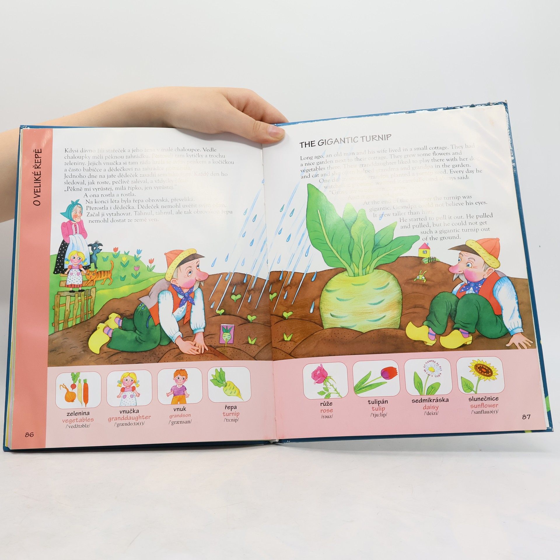 Marie Zahálková Moje první knížka pohádek = My first book of fairy tales