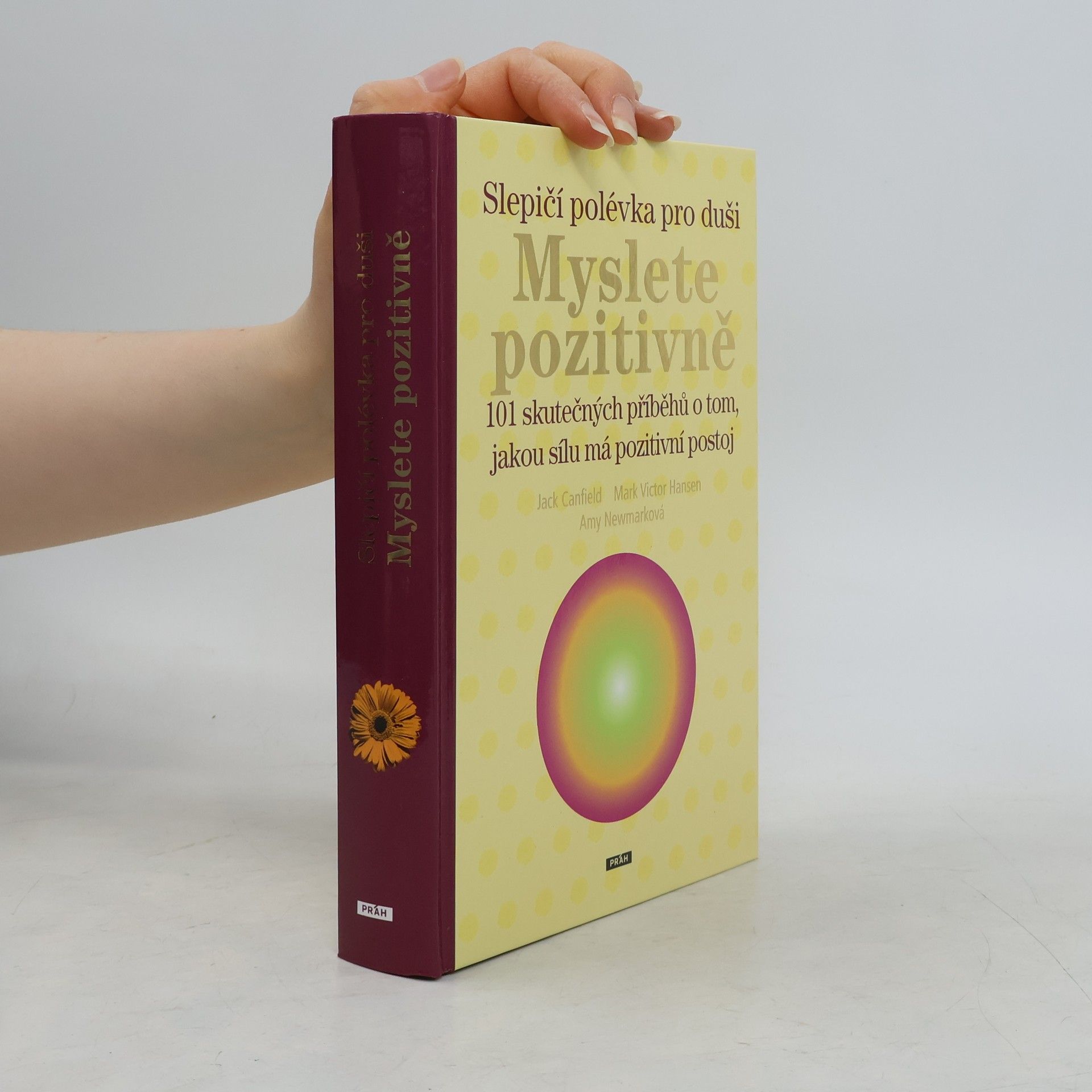 Amy Newmark Slepičí polévka pro duši: Myslete pozitivně