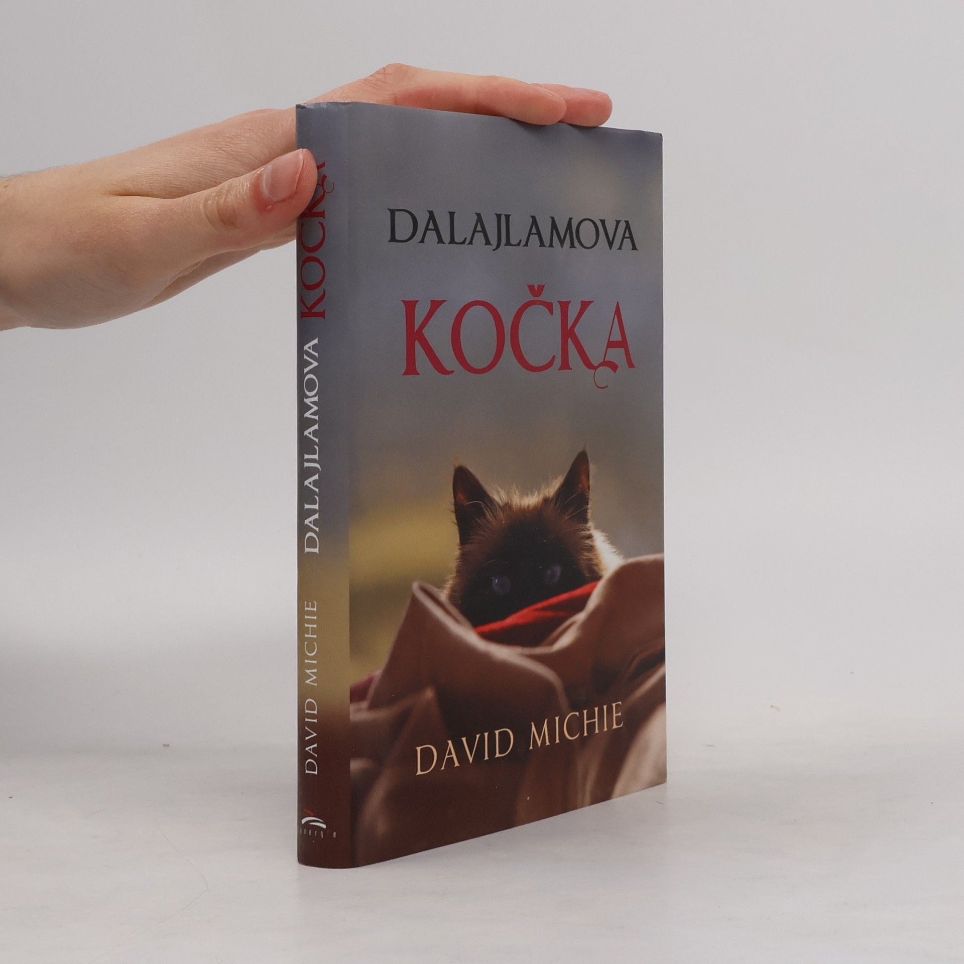 David Michie Dalajlamova kočka