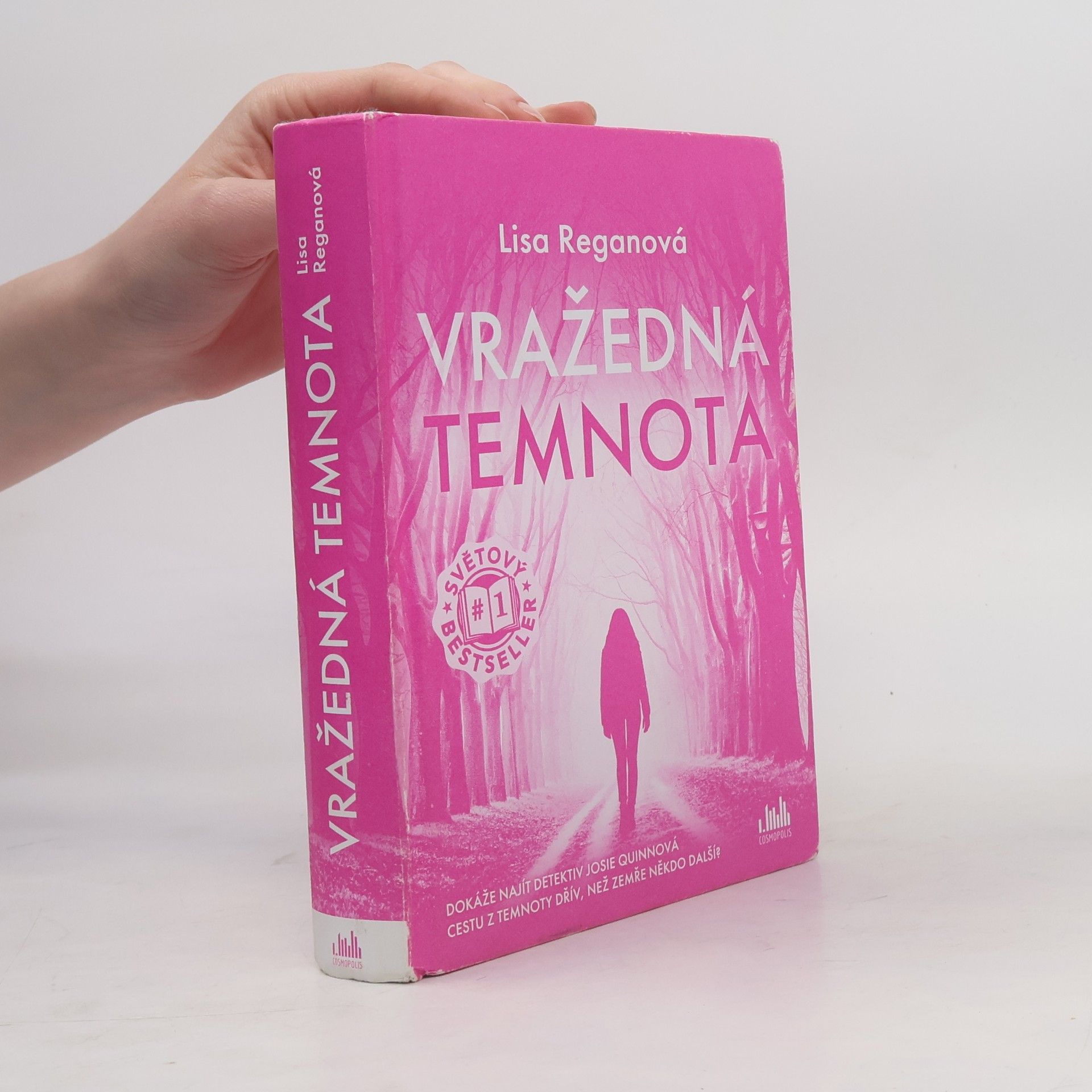 Lisa Regan Vražedná temnota