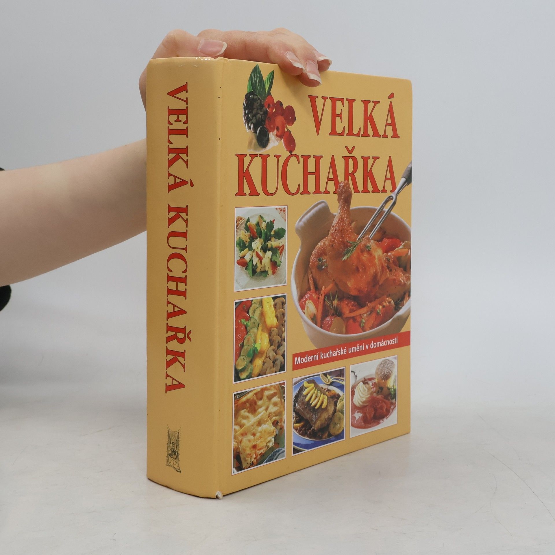 Autorenkollektiv Velká kuchařka