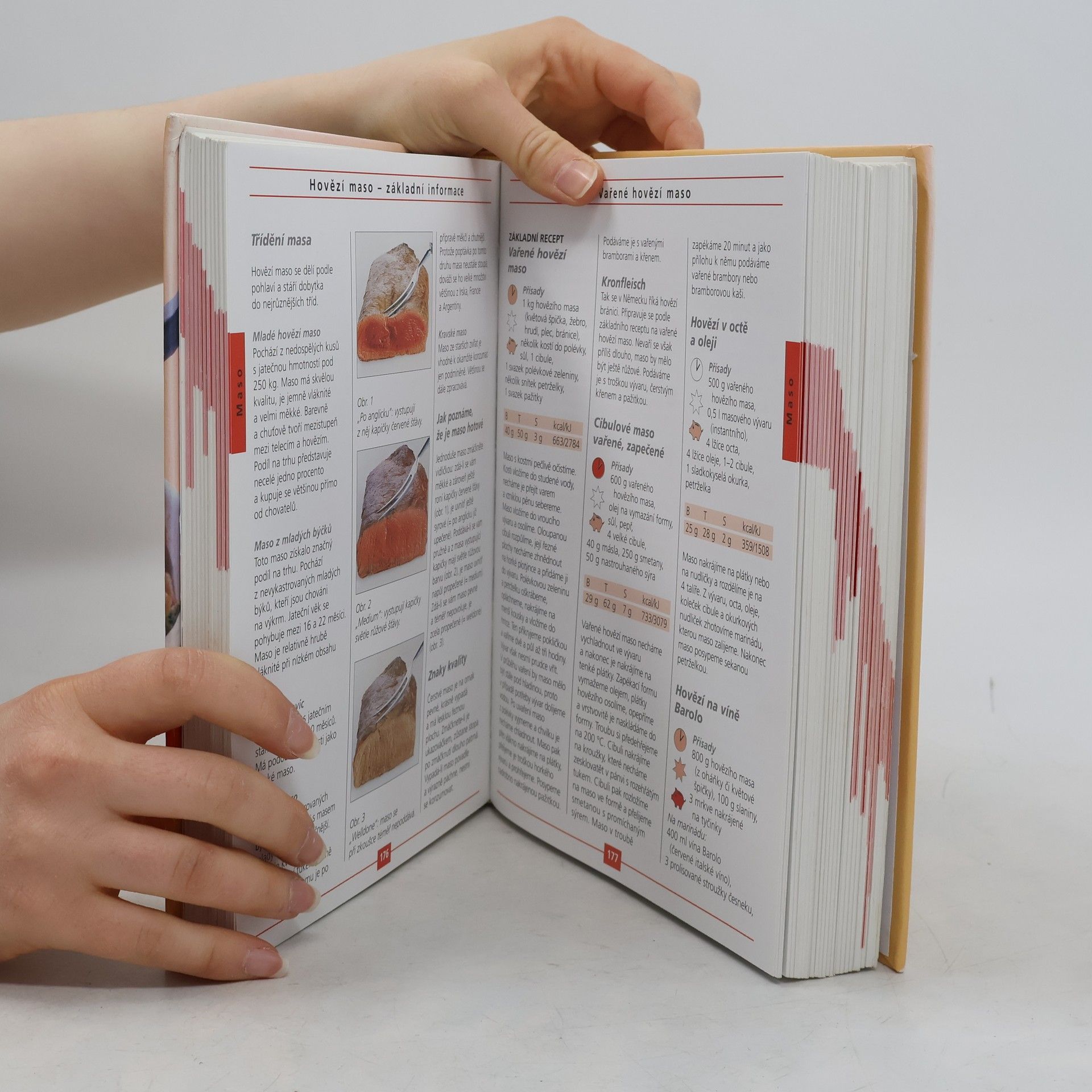Autorenkollektiv Velká kuchařka