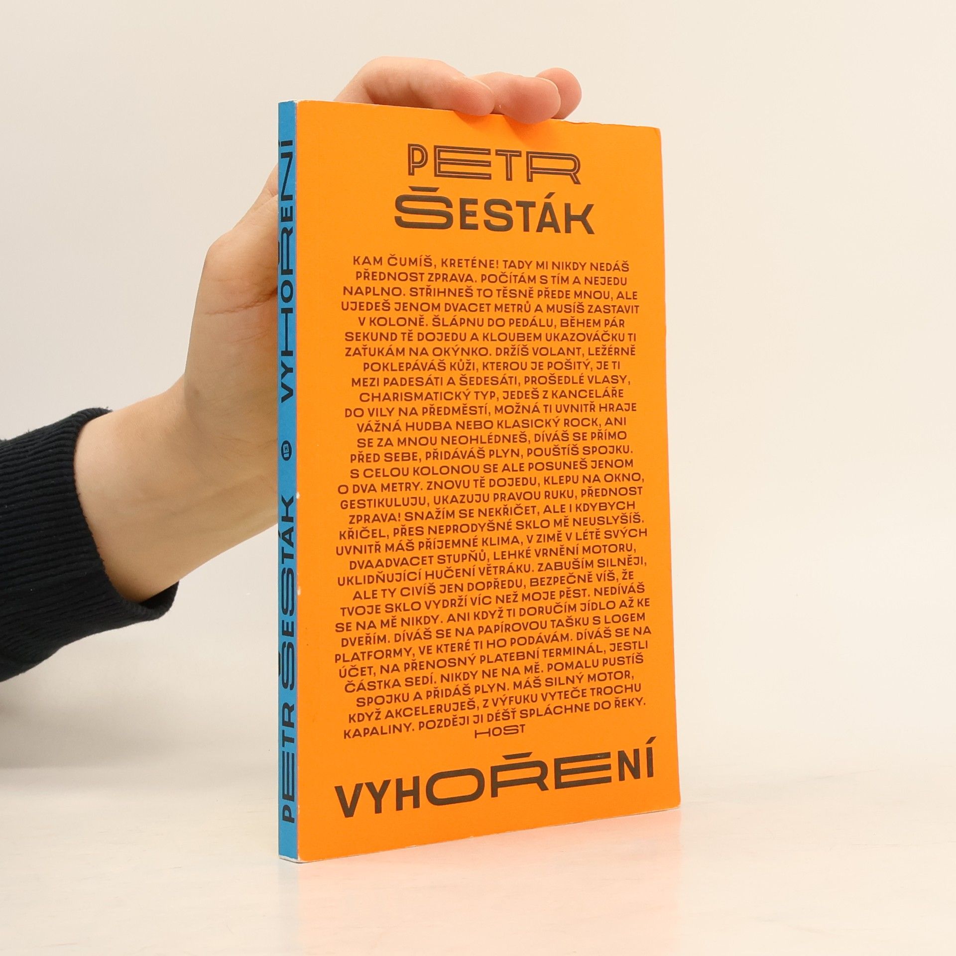 Petr Šesták Vyhoření