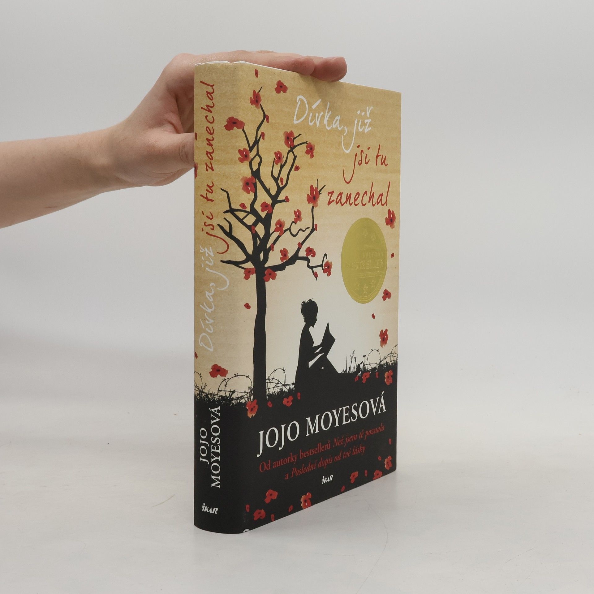 Jojo Moyes Dívka, již jsi tu zanechal