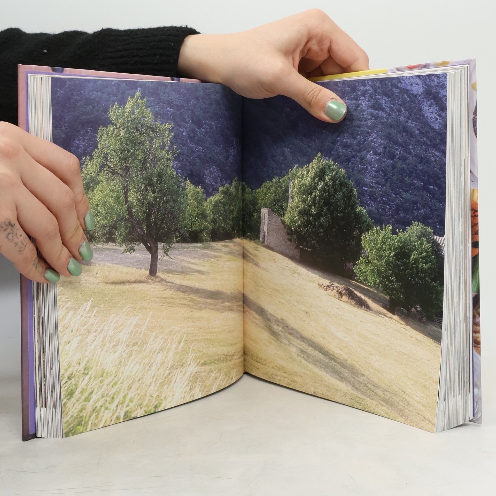 Gui Gedda Provence : Škola provensálské kuchyně