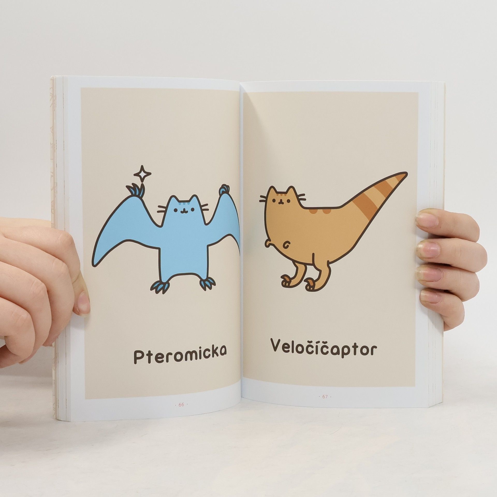 Claire Belton Pusheen. Já, košišta