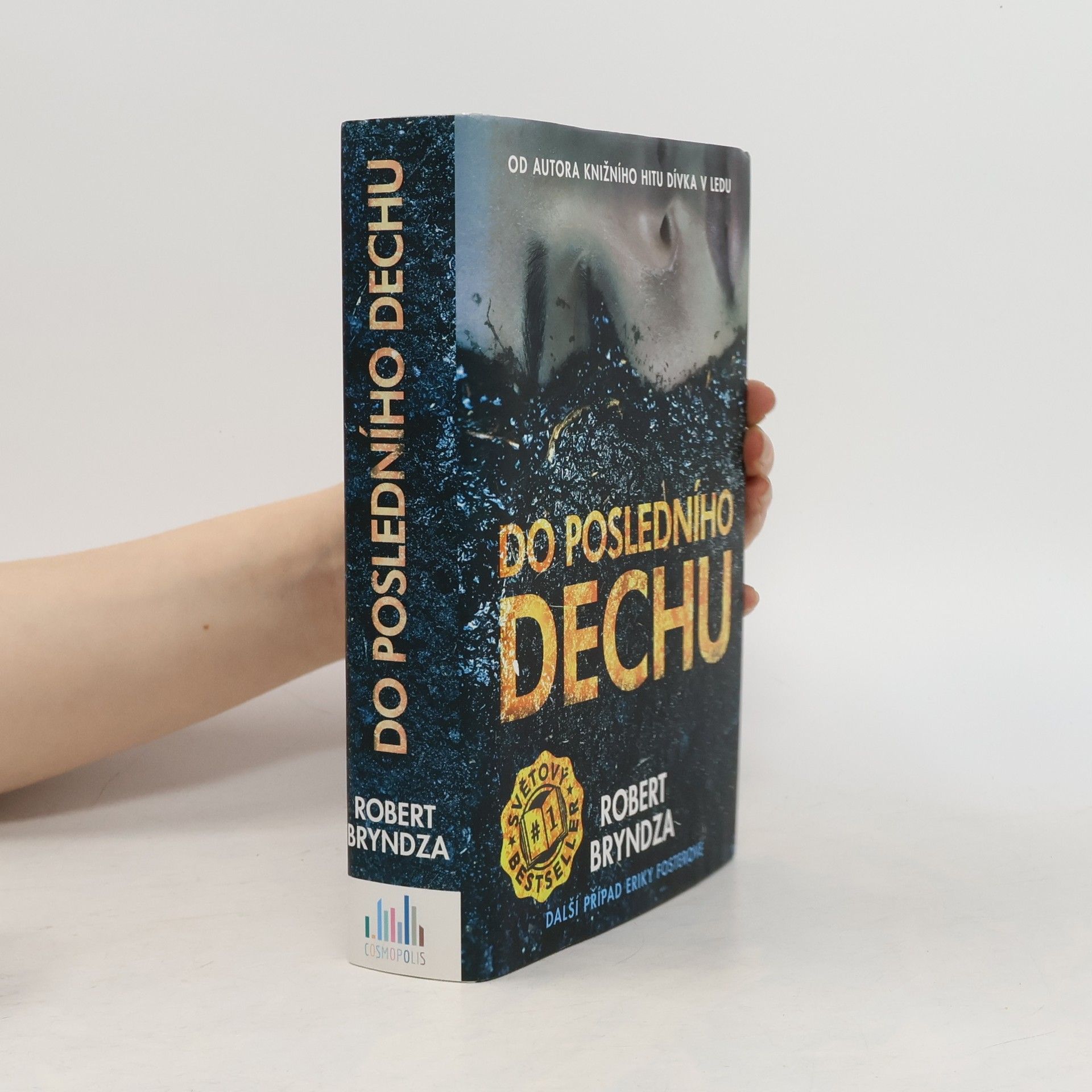 Robert Bryndza Do posledního dechu