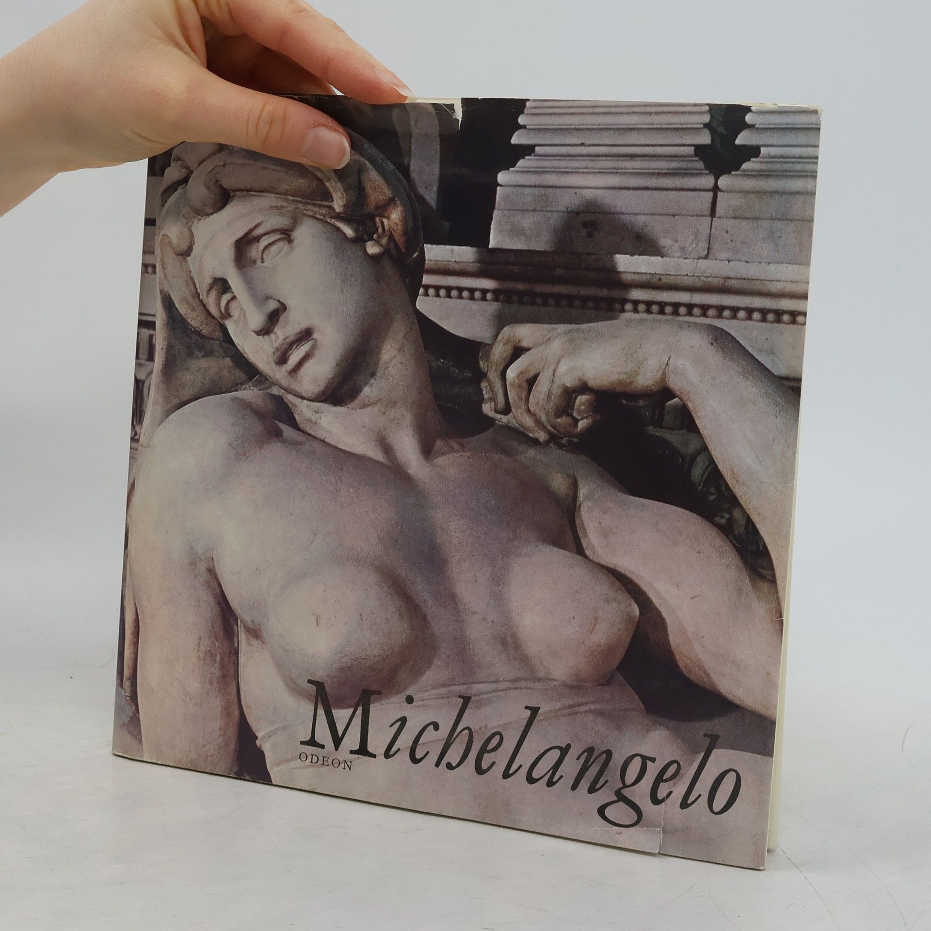 Oldřich J. Blažíček Michelangelo