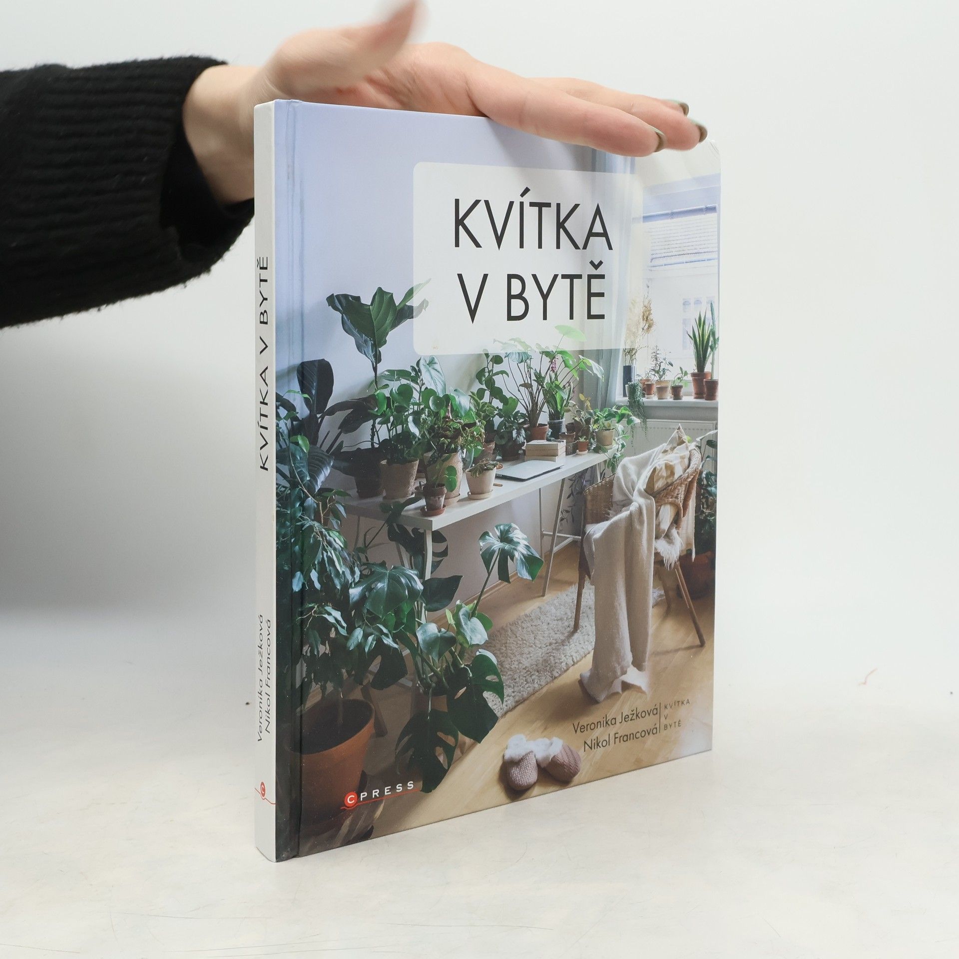 Kvítka v bytě