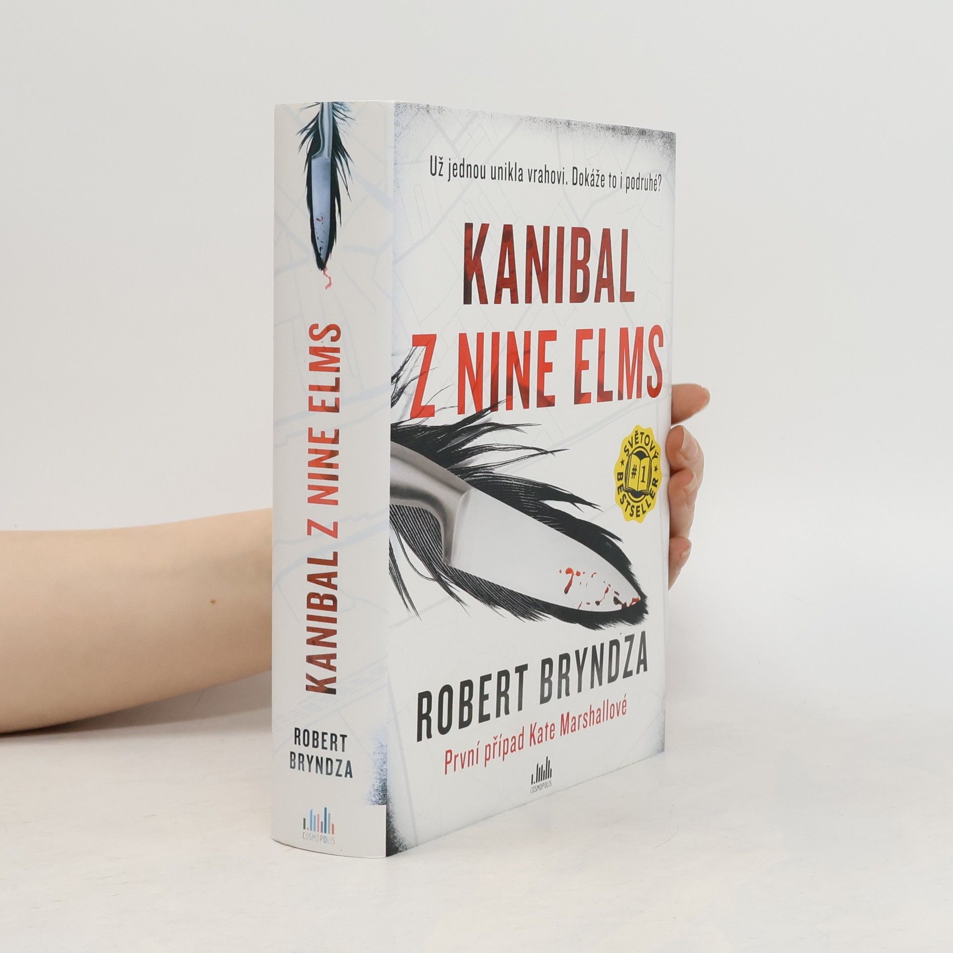 Robert Bryndza Kanibal z Nine Elms