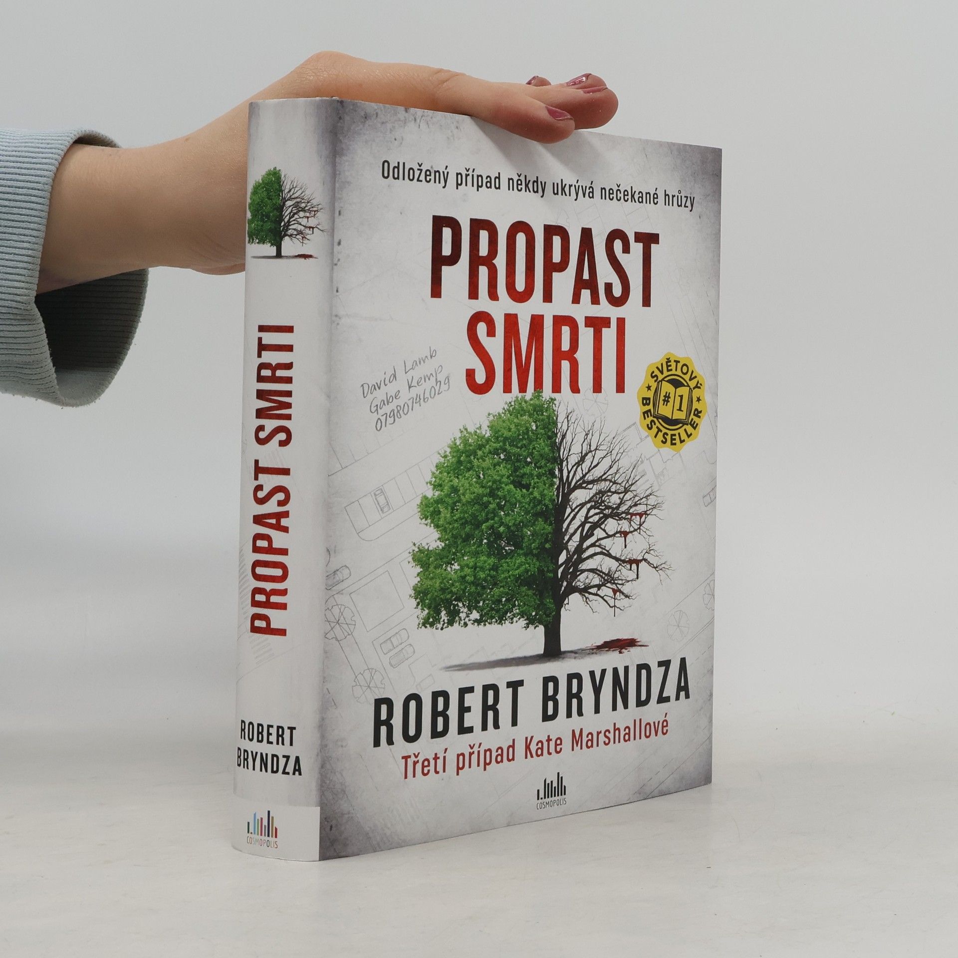 Robert Bryndza Propast smrti