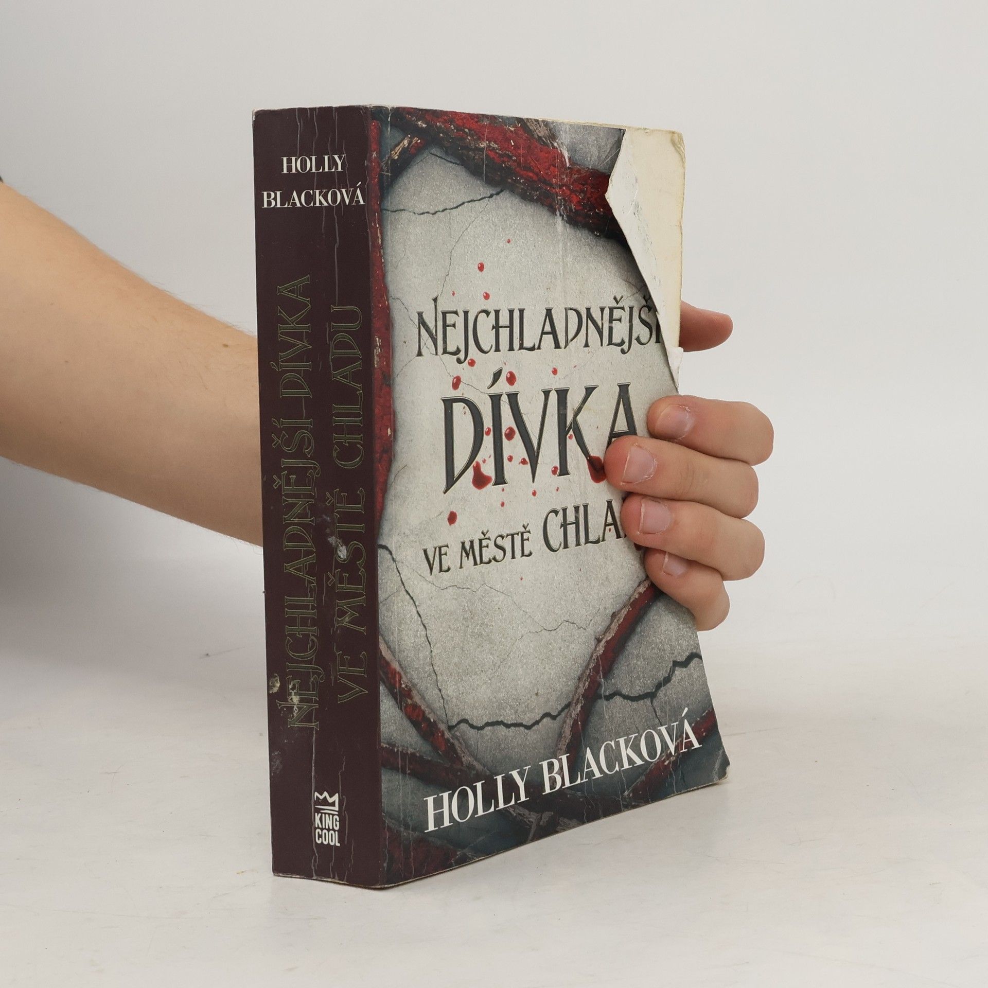Holly Black Nejchladnější dívka ve městě chladu