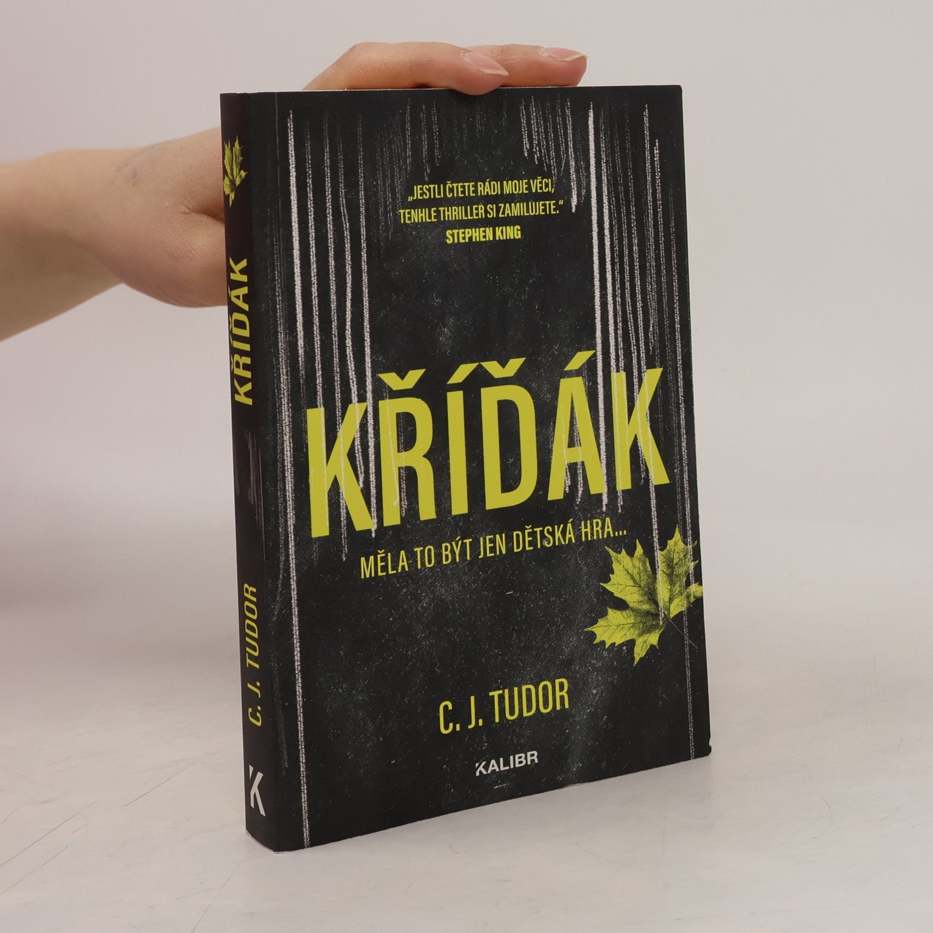 C.J. Tudor Kříďák