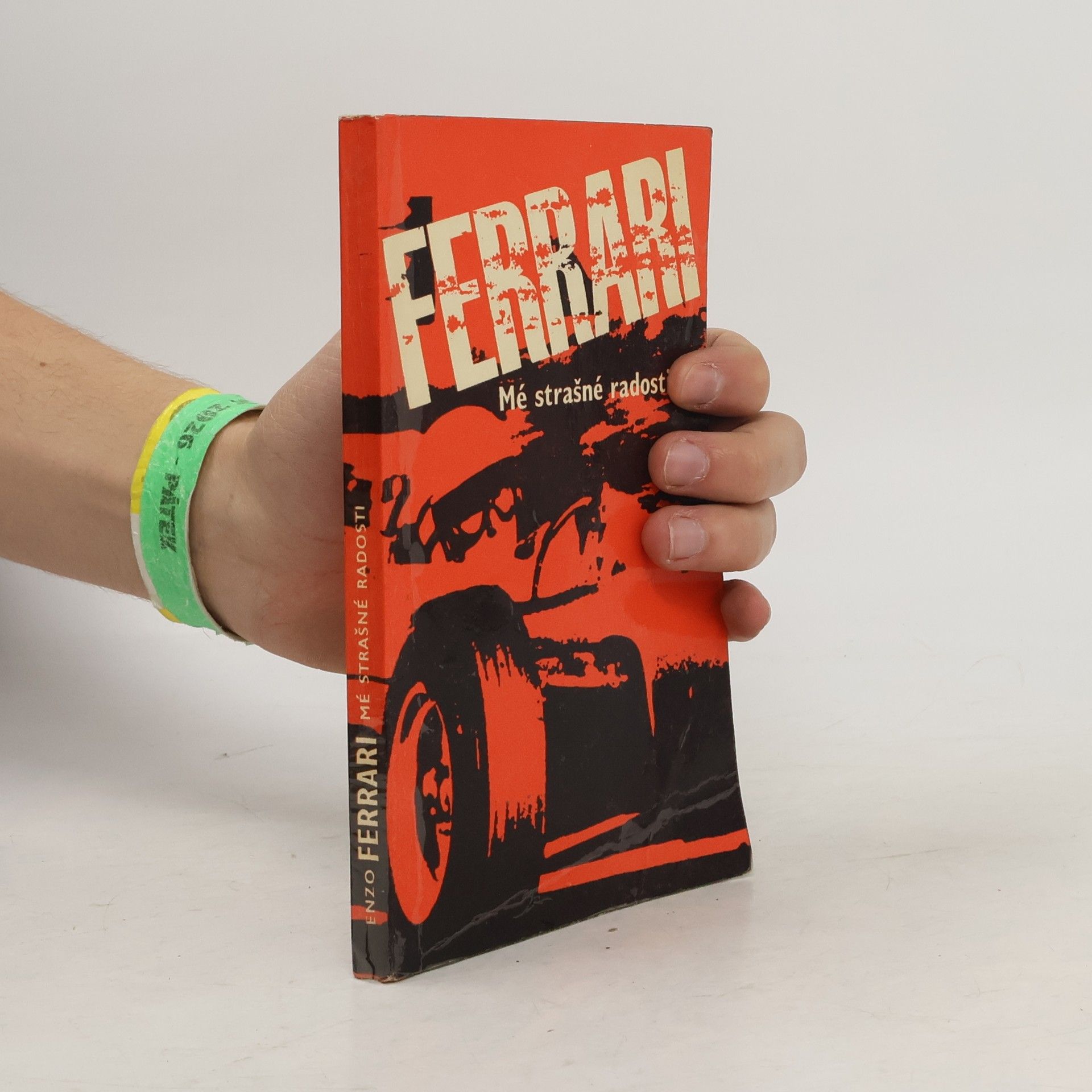 Enzo Ferrari Mé strašné radosti