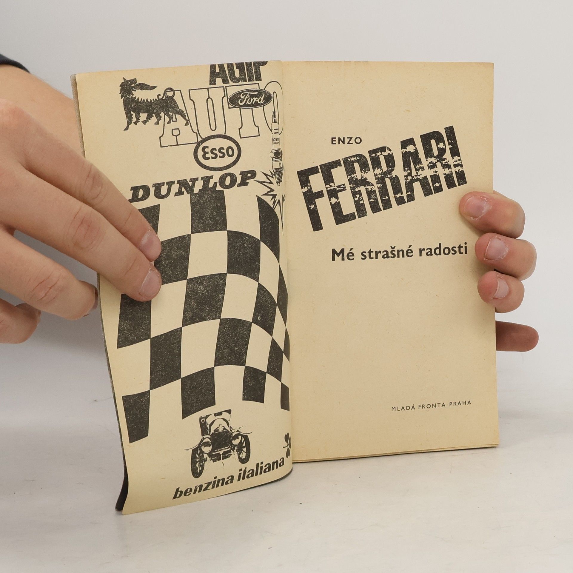 Enzo Ferrari Mé strašné radosti